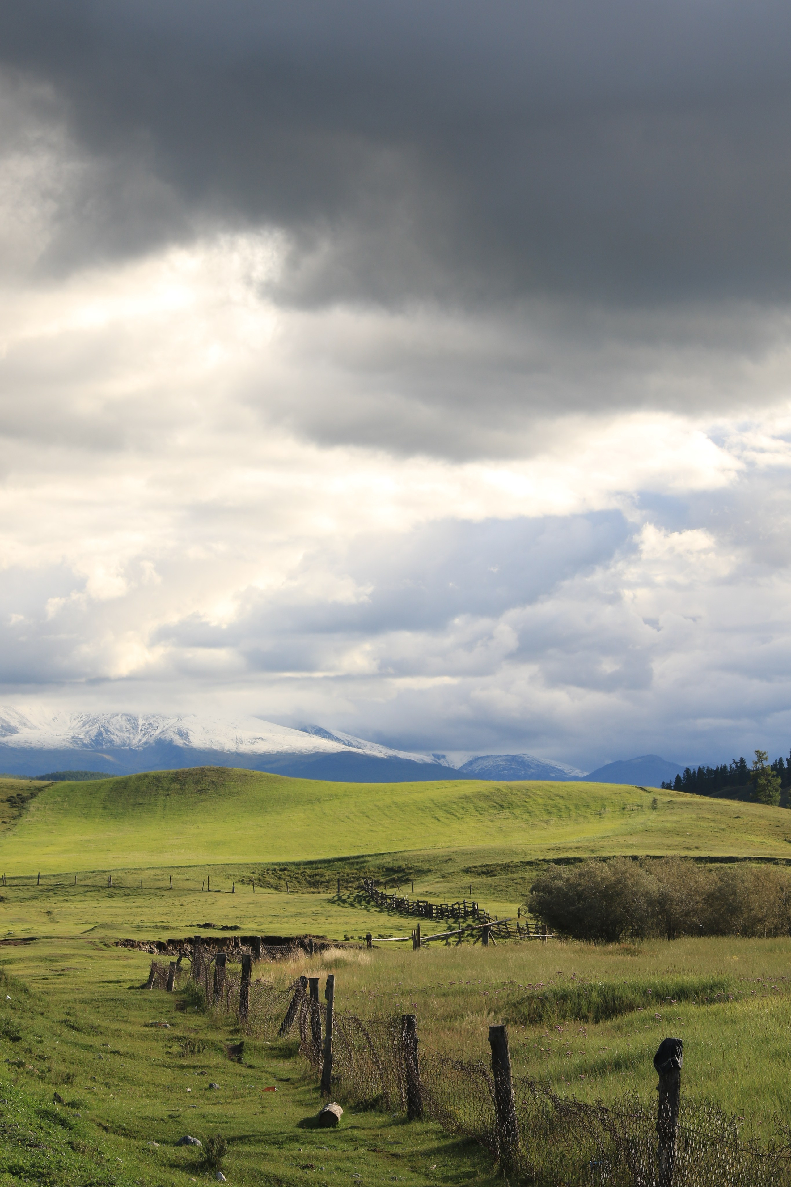 Подберу кадр под ваш интерьер и настроение. Фотограф Кирилл Мешков Кемерово