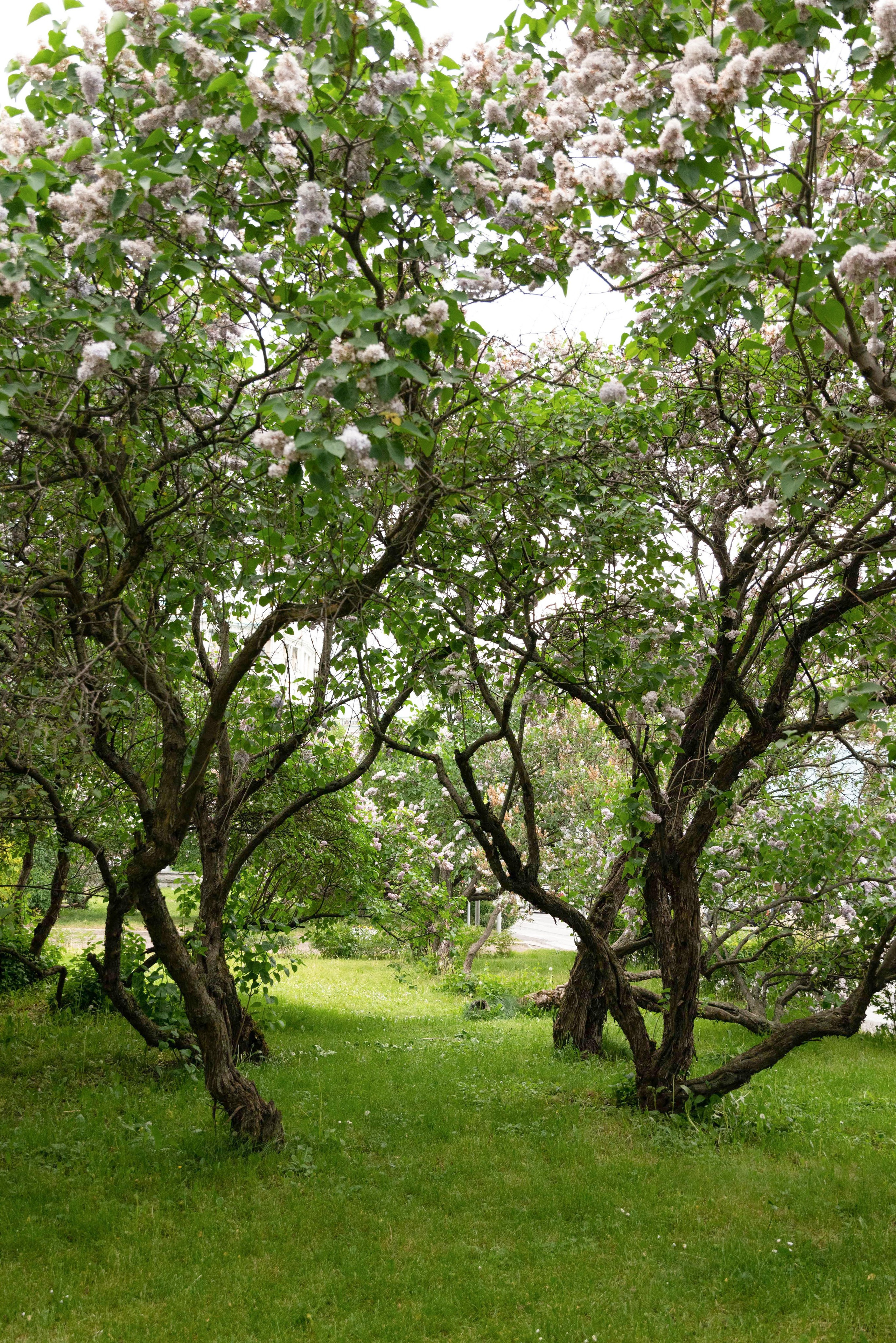 Парк ЕКАТЕРИНИНСКИЙ обзор. Фотограф в Москве и Московской области (Ю-В) Олеся Макарова