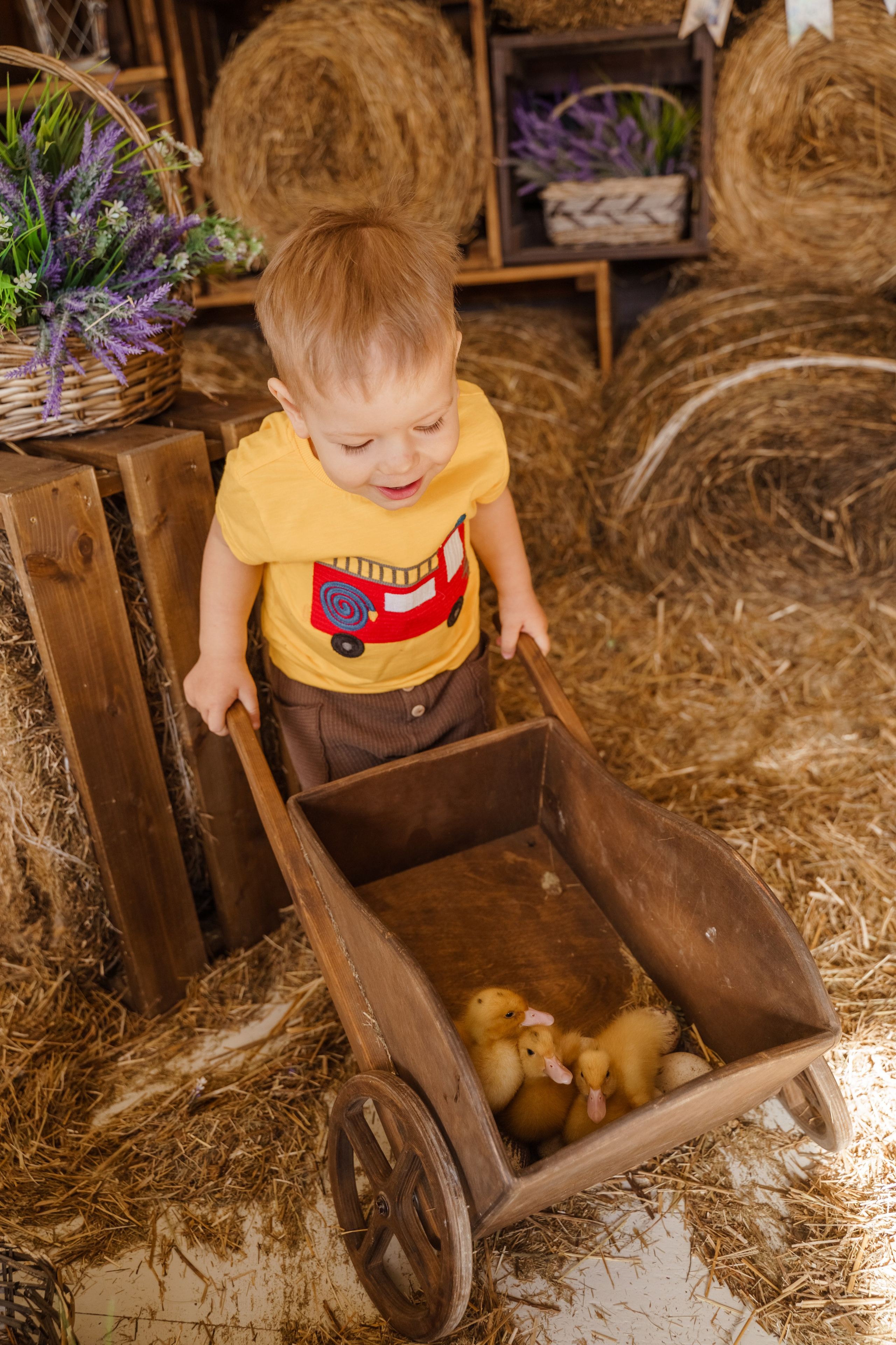 Фотосессия с утятами в студии