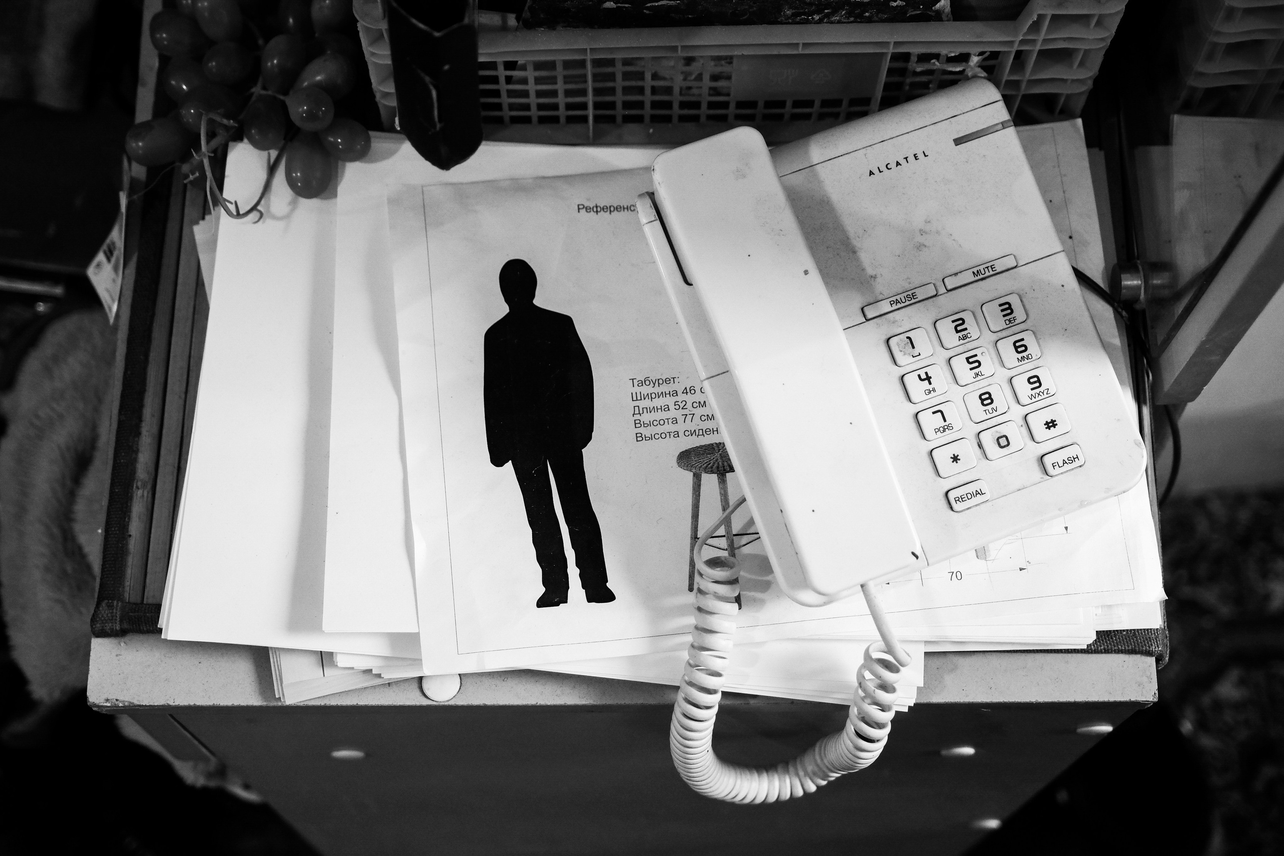 Дельфийские игры. Фотограф Кузнецов Егор Липецк