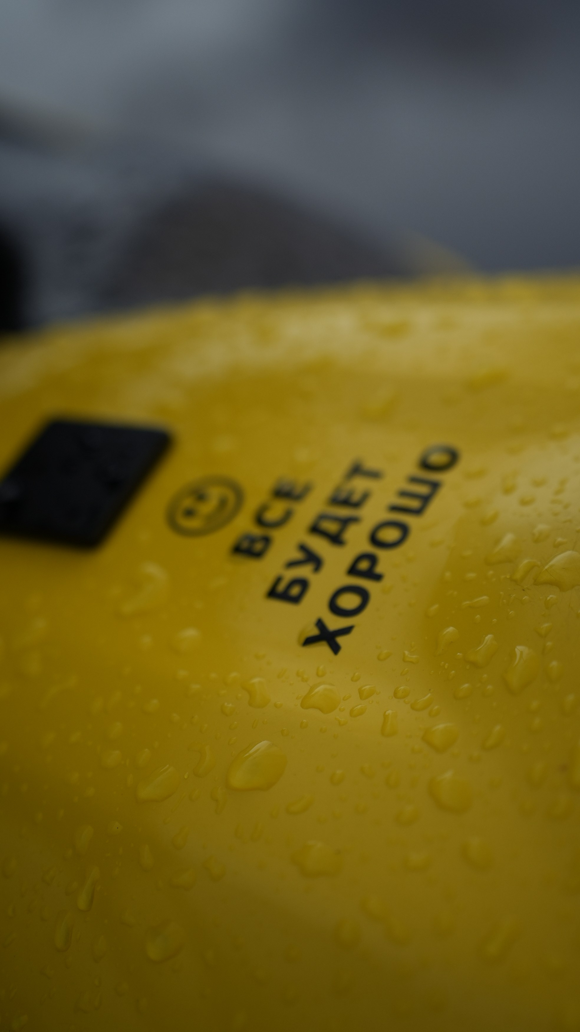 Георгий Новиков