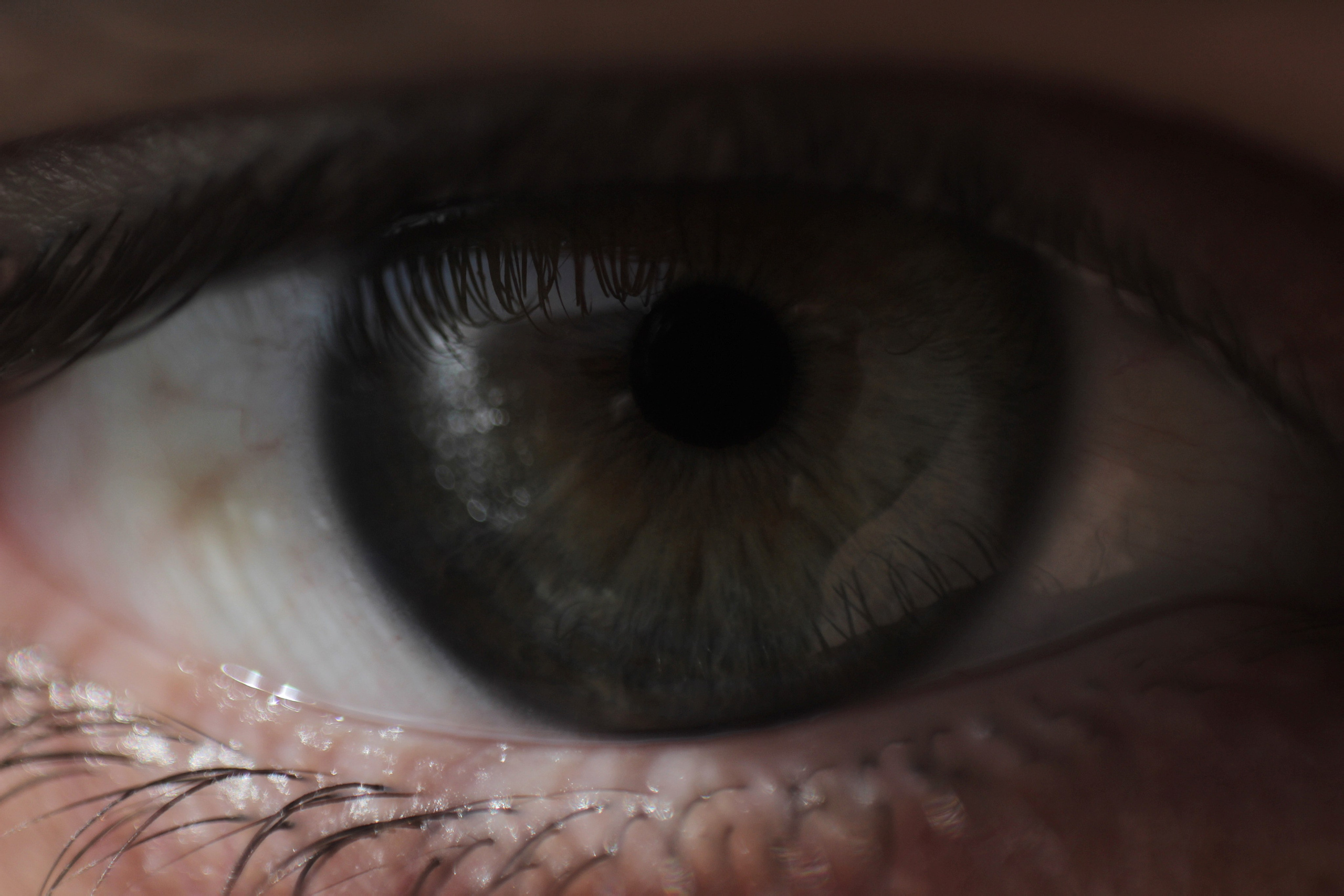 Фотограф в Новосибирске Попова Ксения