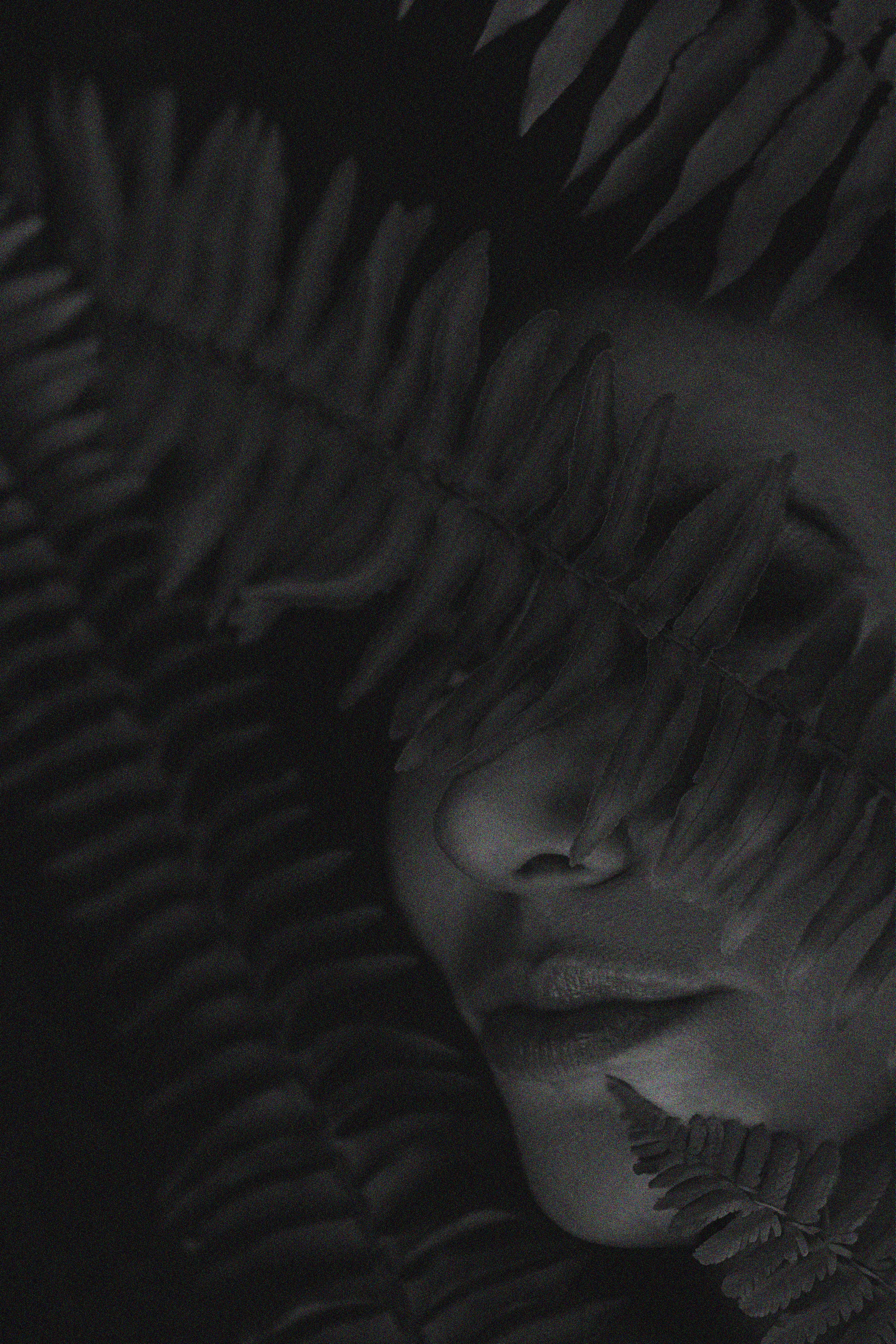 Halloween Themed Photoshoot in Little Red Riding Hood Style. Delray Beach Photographer