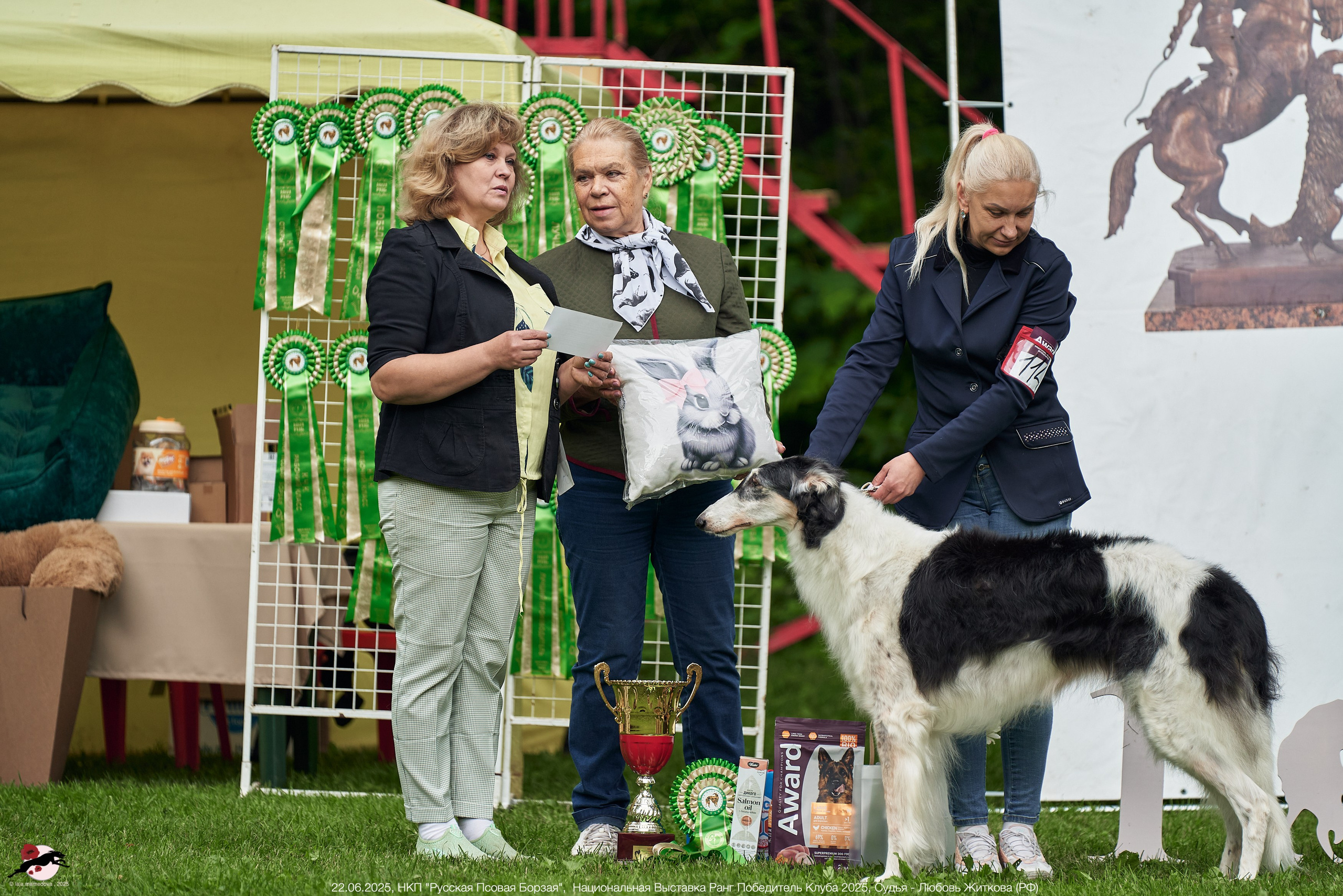 22.06.2025 | Национальная Выставка НКП "Русская Псовая Борзая"