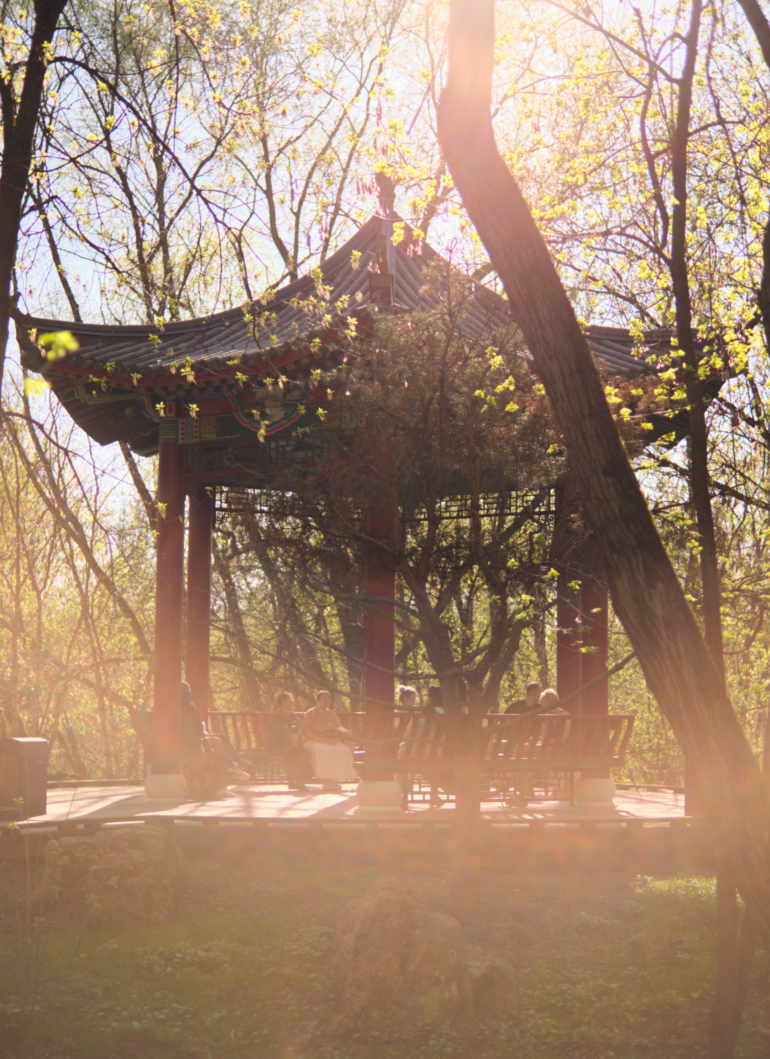 Фотопрогулка. Фотограф в Москве