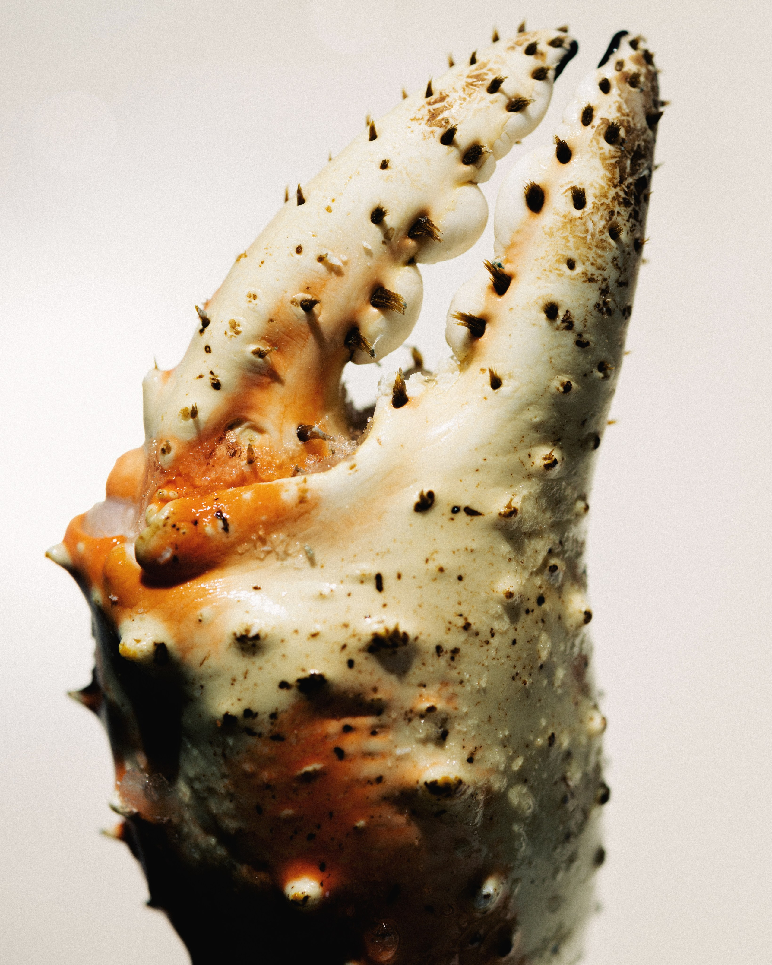 A64 — PORTFOLIO. Ivan Petrov photographer