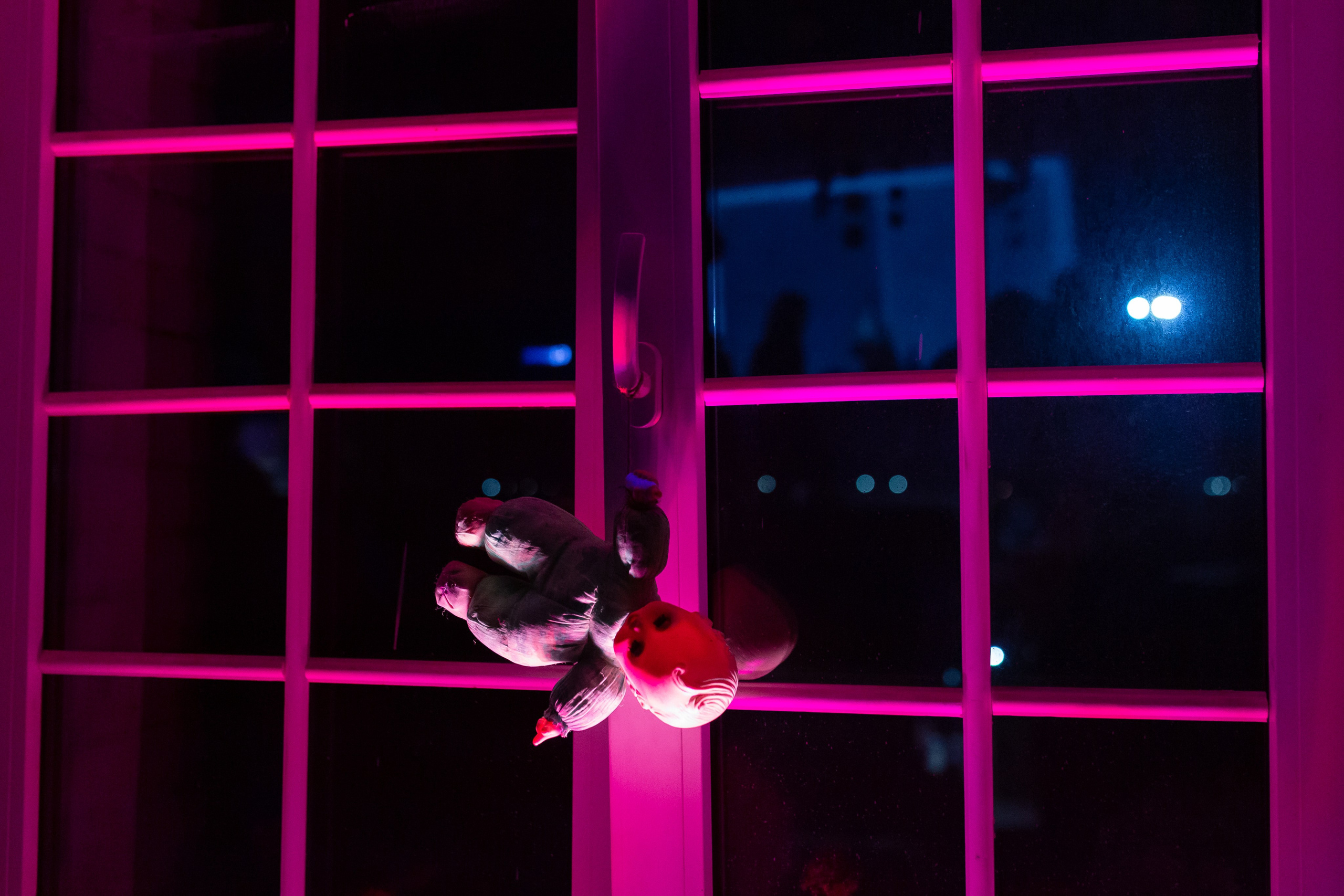 ВАМ И НЕ СНИЛОСЬ. Свадебный фотограф в Москве и Подмосковье Виктор Одинцов