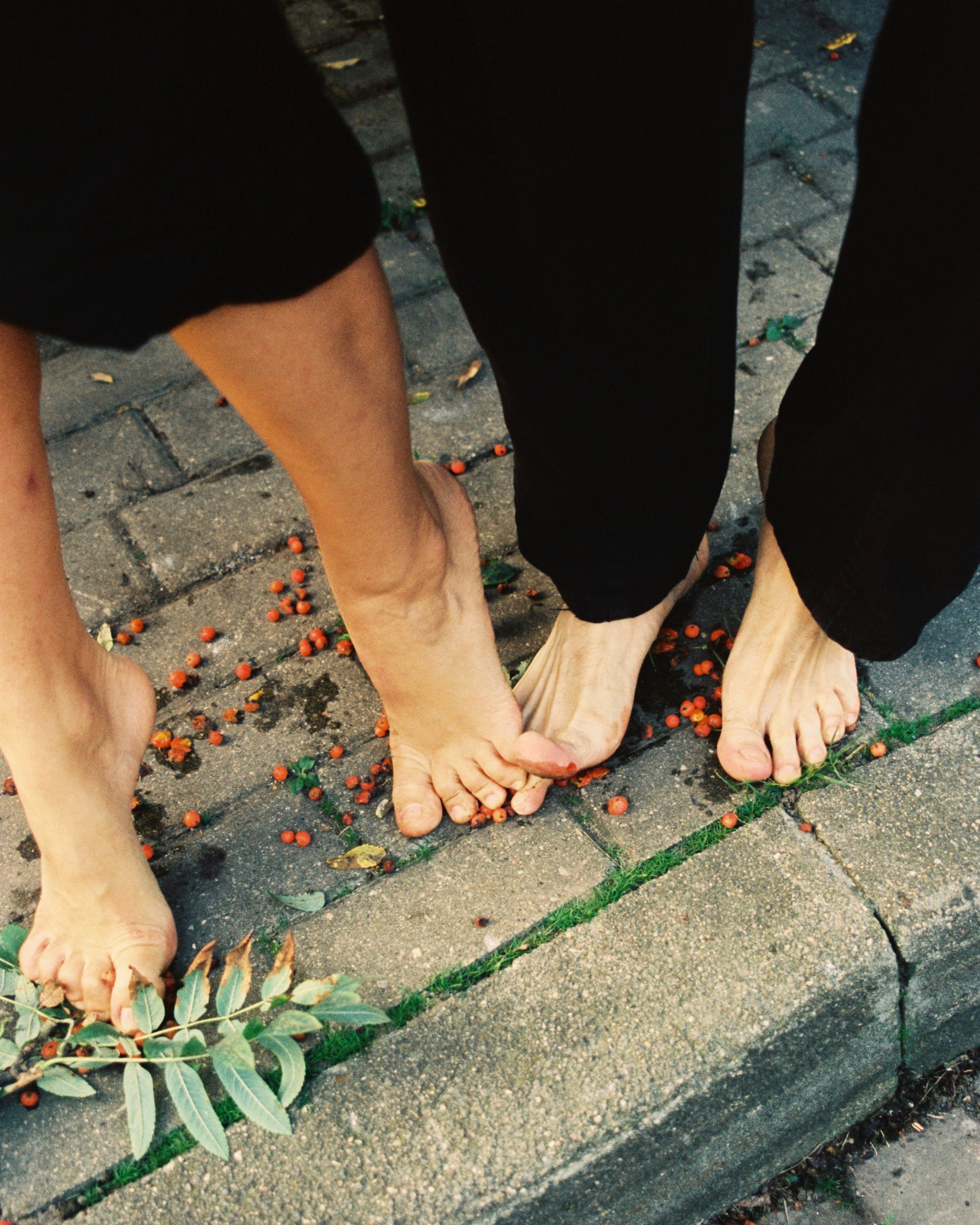 Док портрет