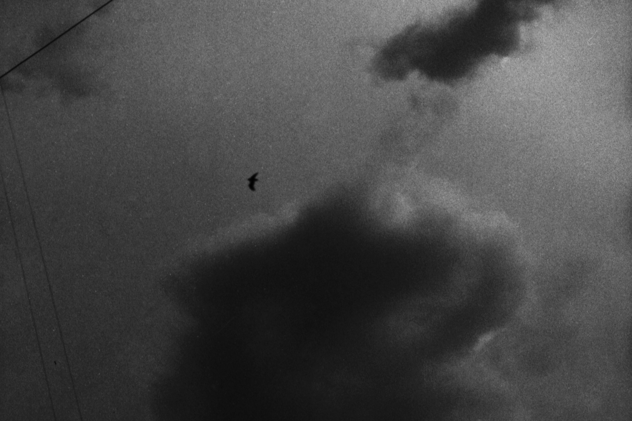 Waves. Vika Bykovskaya photography