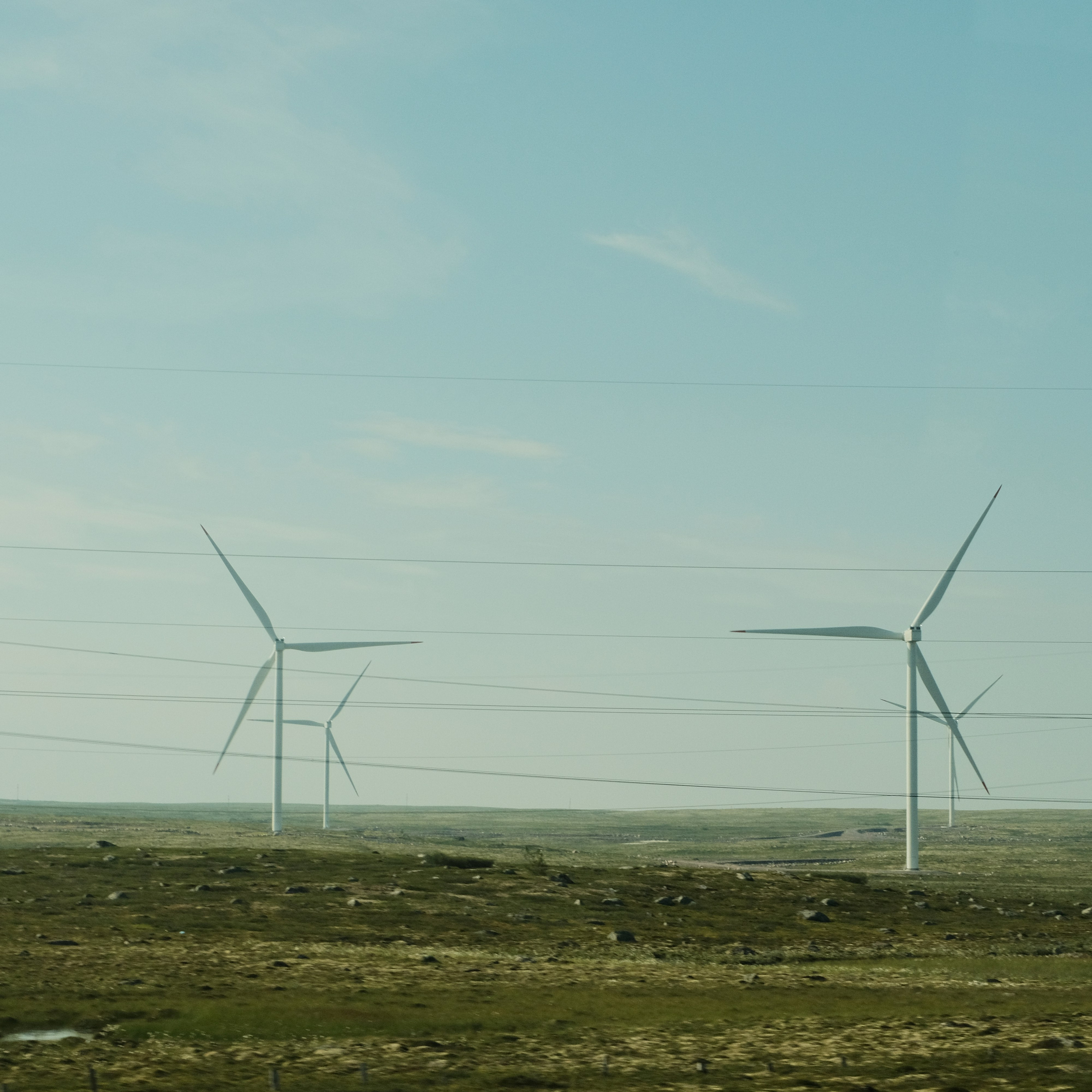 a field with several windmills in sunny weather