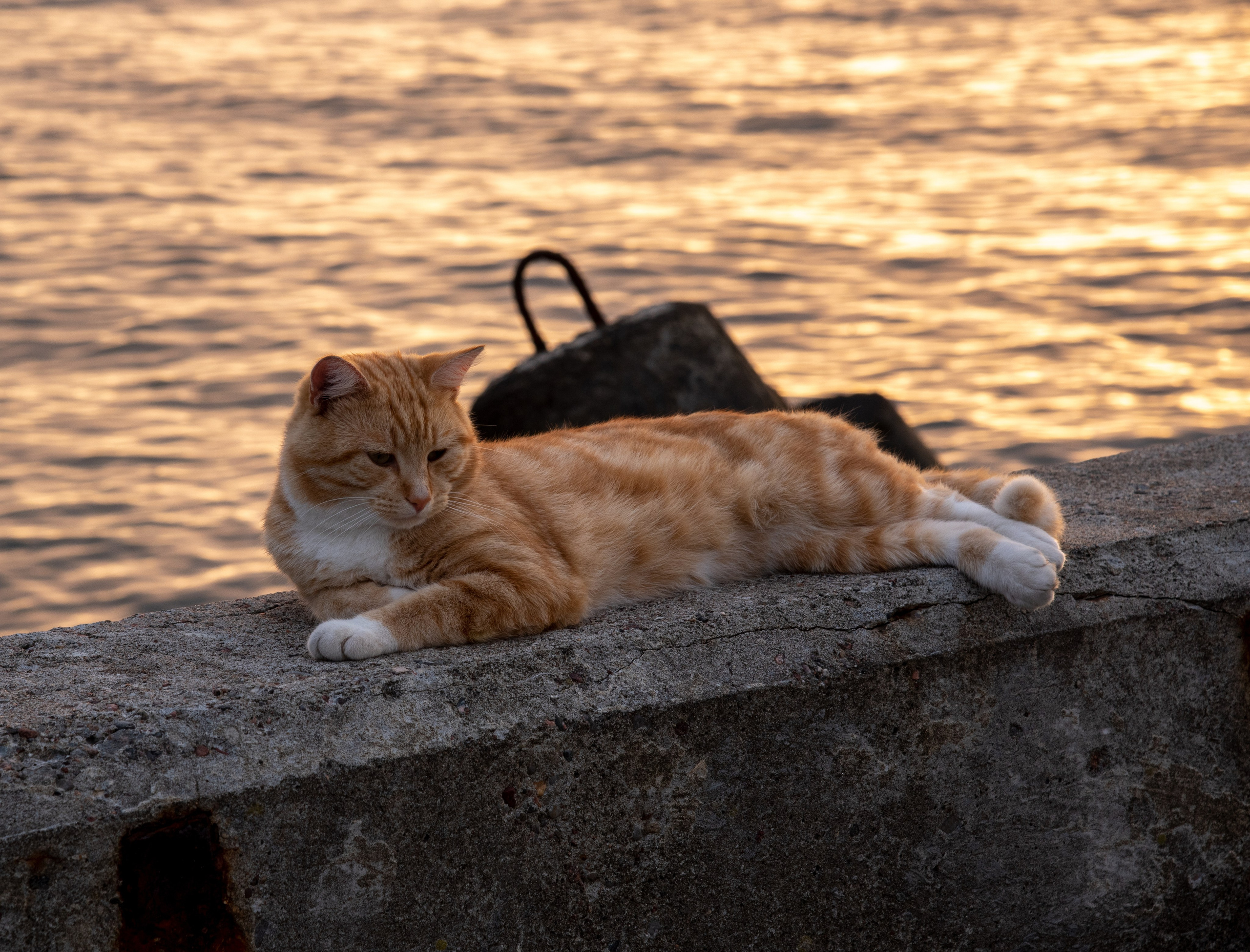 Балтийск. Фотограф Юлия Зимина