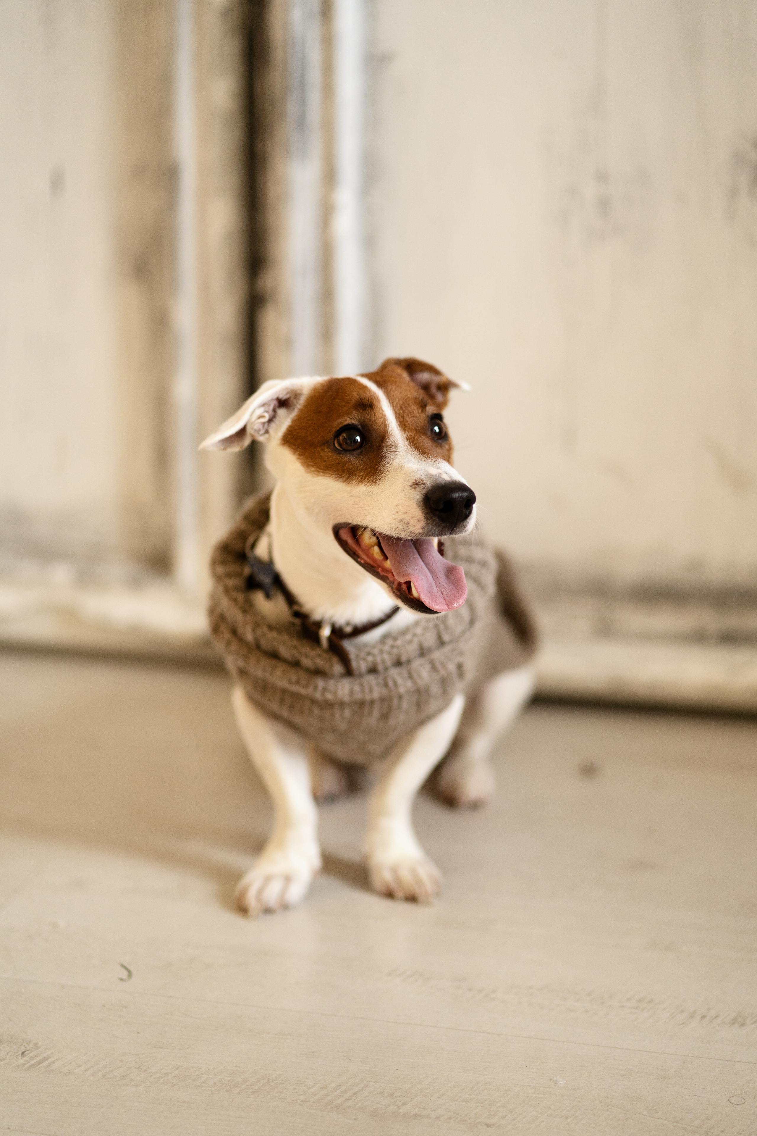 Новогодняя фотосессия Семья Эда. Фотограф в Тюмени Алиса Абрашина