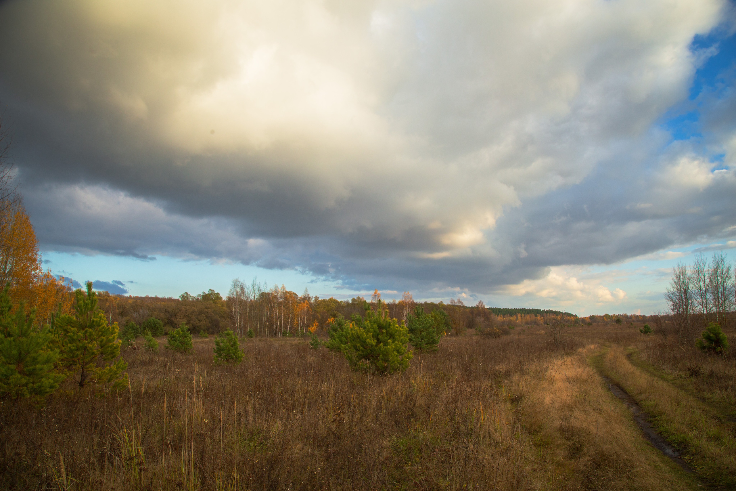 ТВОРЧЕСТВО. Творческая студия АЛНИфото