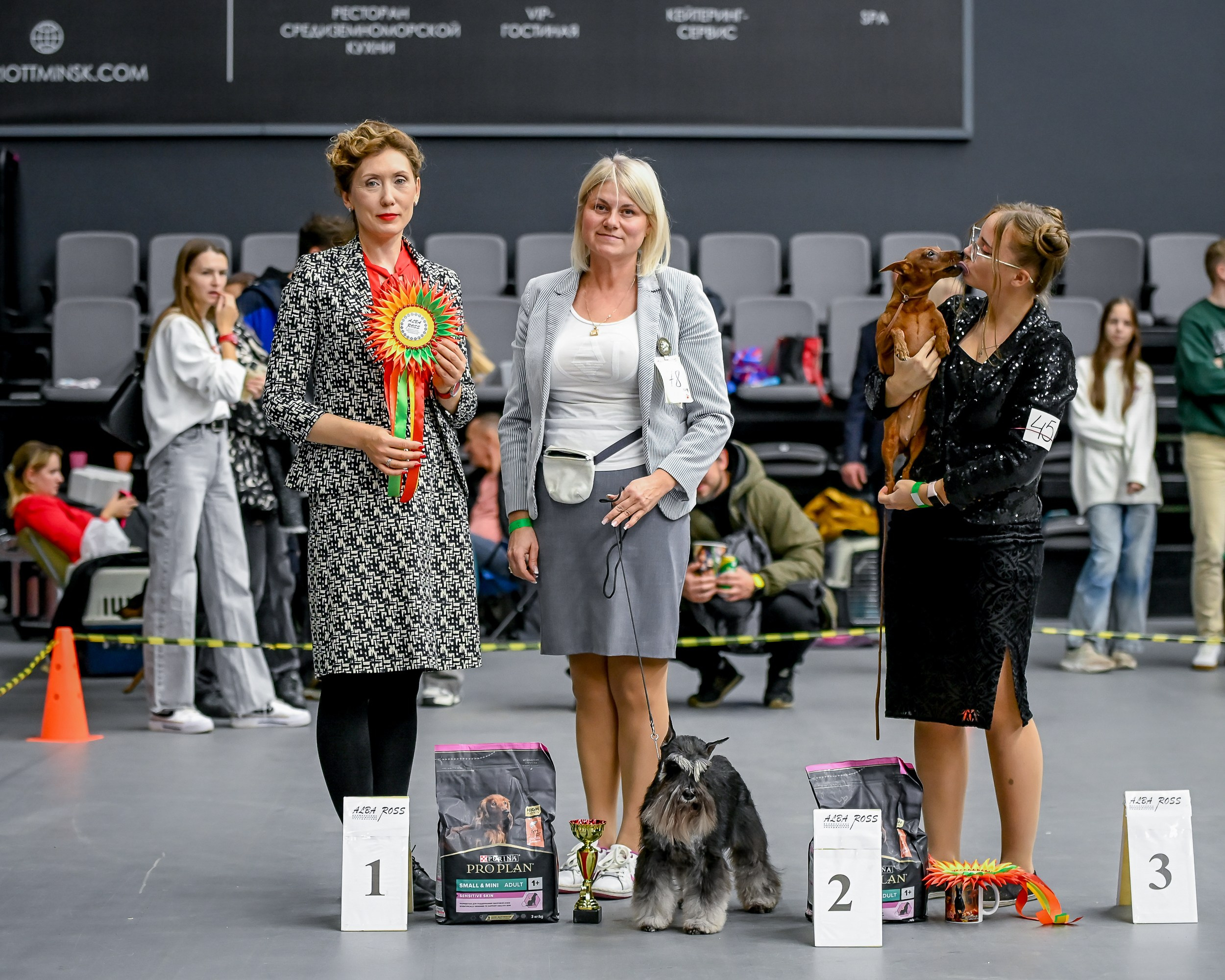 Питомник Делинсо Бэлэнс, щенки цвергшнауцера, купить щенка цвергшнауцера, питомник цвергшнауцеров, кобель цвергшнауцера для вязки, щенок цвергшнауцера, питомник цвергшнауцеров, черный с серебром, цверг, лучший питомник в беларуси, питомник цвергшнауцеров минск