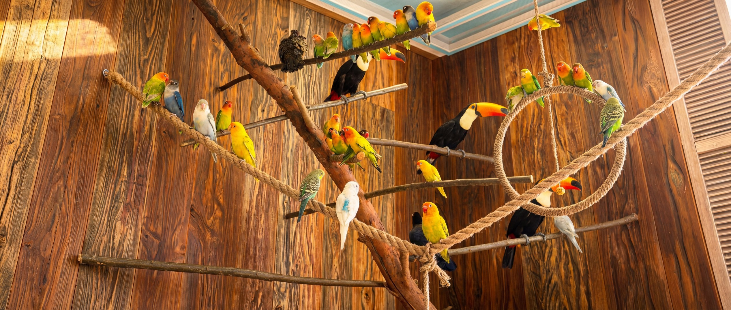 Зоопарк уникальных животных Лесная братва