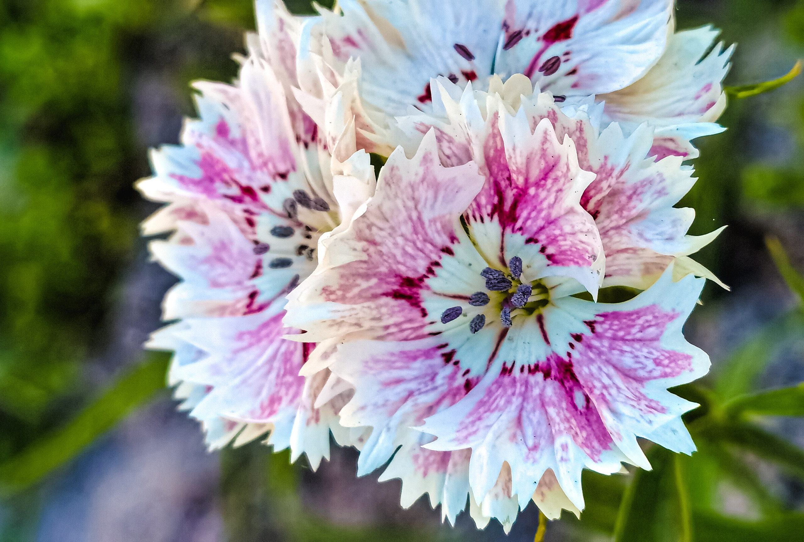 МК Мобильная фотография. Арт-фотограф Крис Л. в Тобольске: портрет, семейные, свадьбы