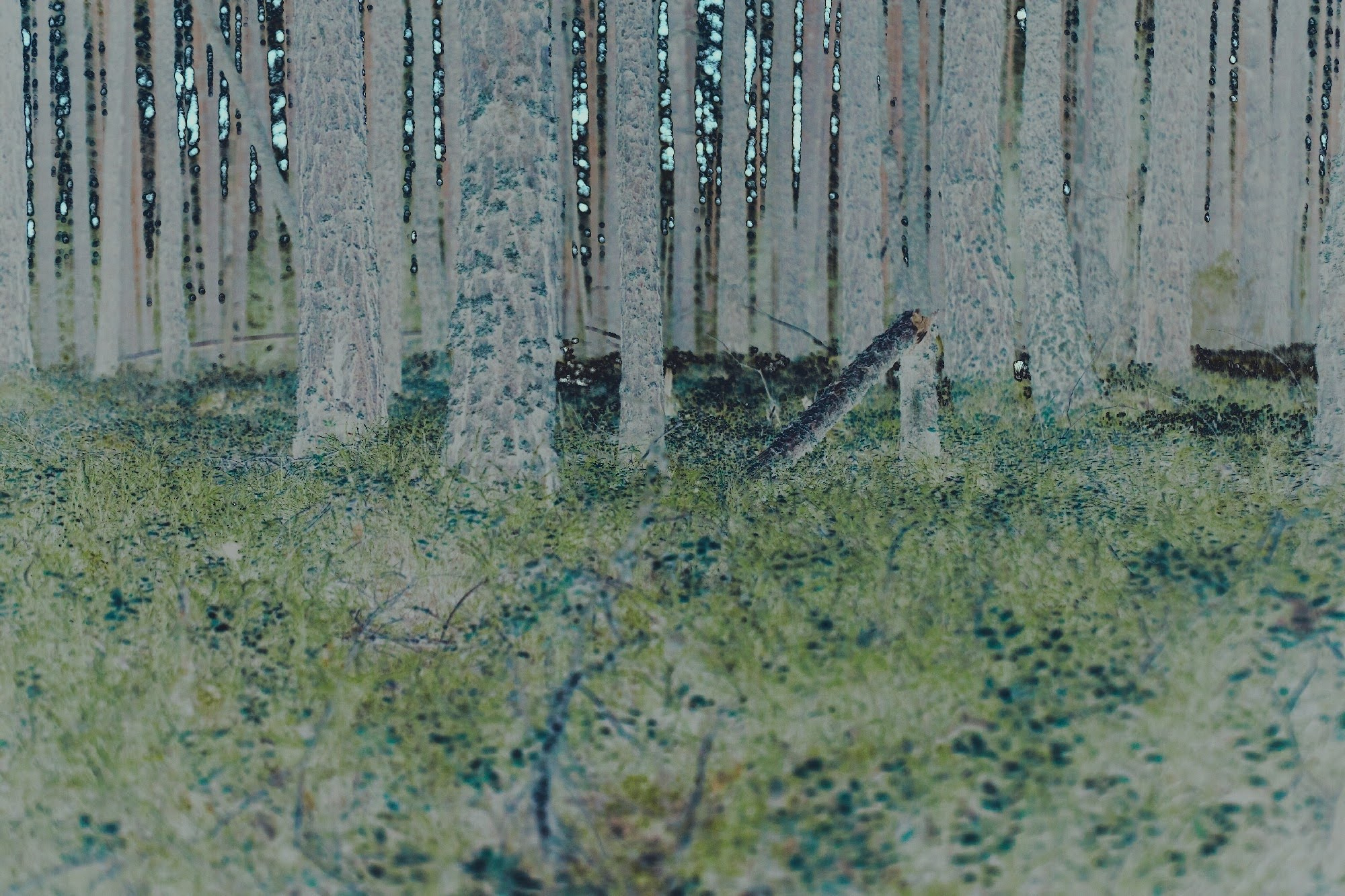 Катерина Малама арт-фотограф