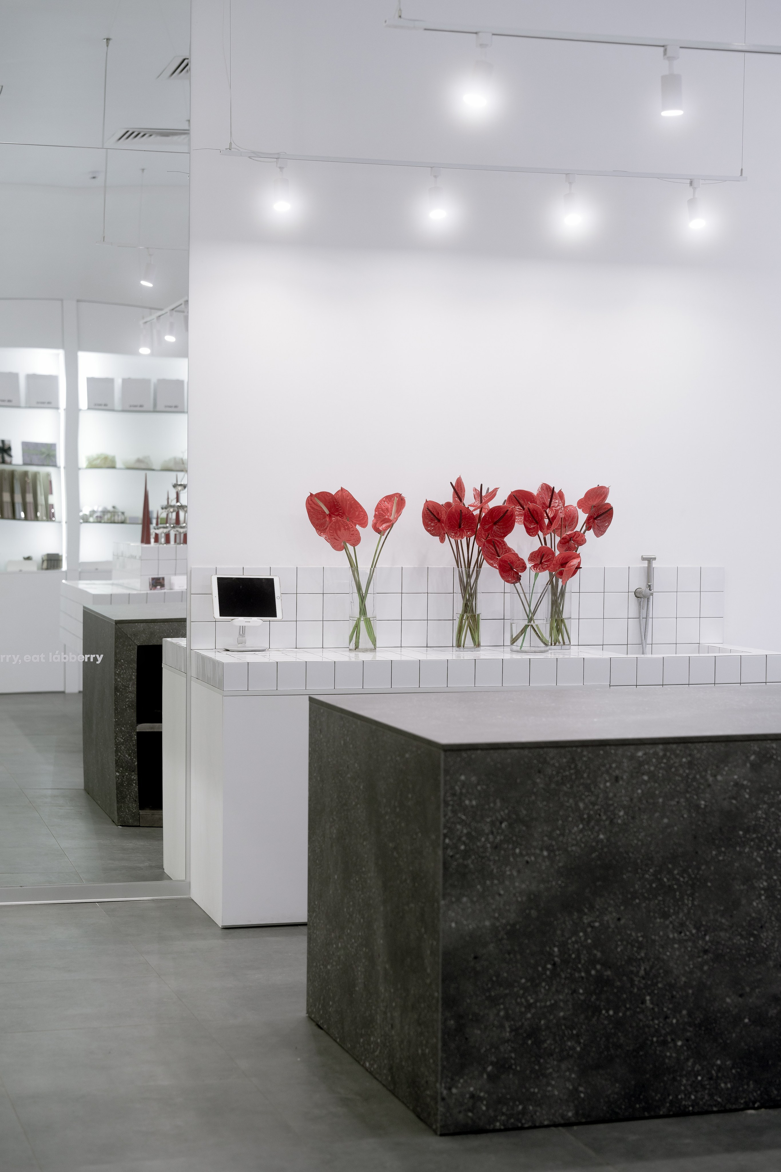 Проекты для блога и бренда. ИТВИ