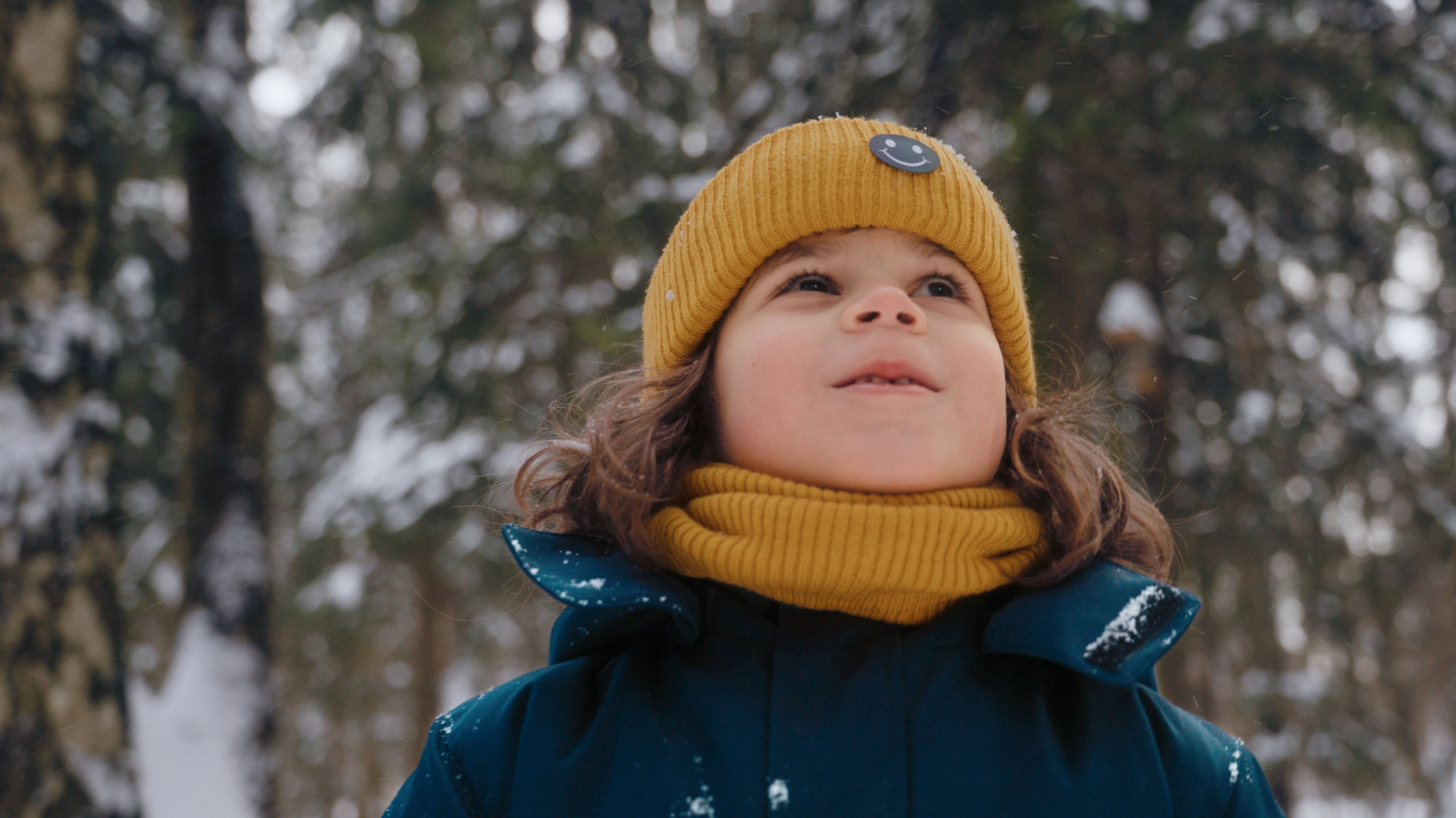 Professional colorgrading service