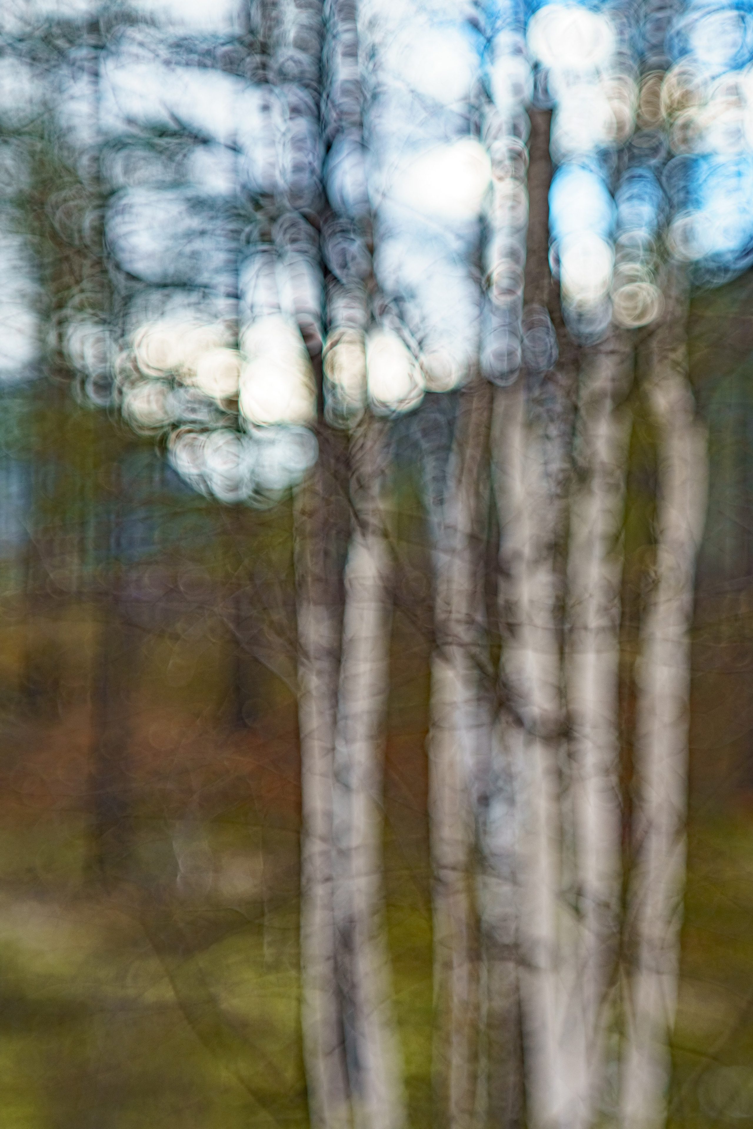 Хребет Кодар