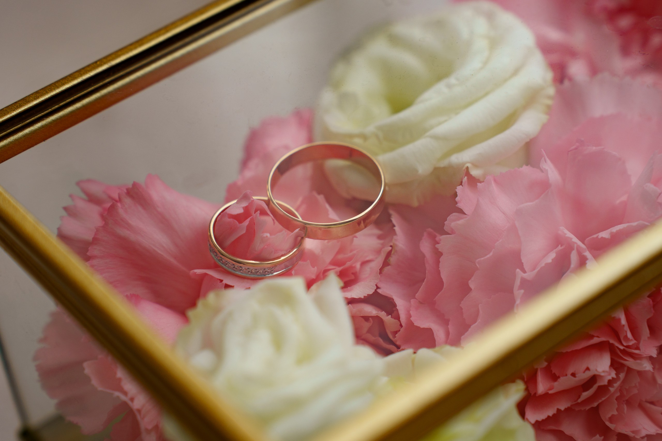 Обручальные кольца нежно покоятся на цветочной подушке из розовых и белых бутонов — символ любви, обрамлённый природной красотой | профессиональный фотограф на свадьбу Екатеринбург