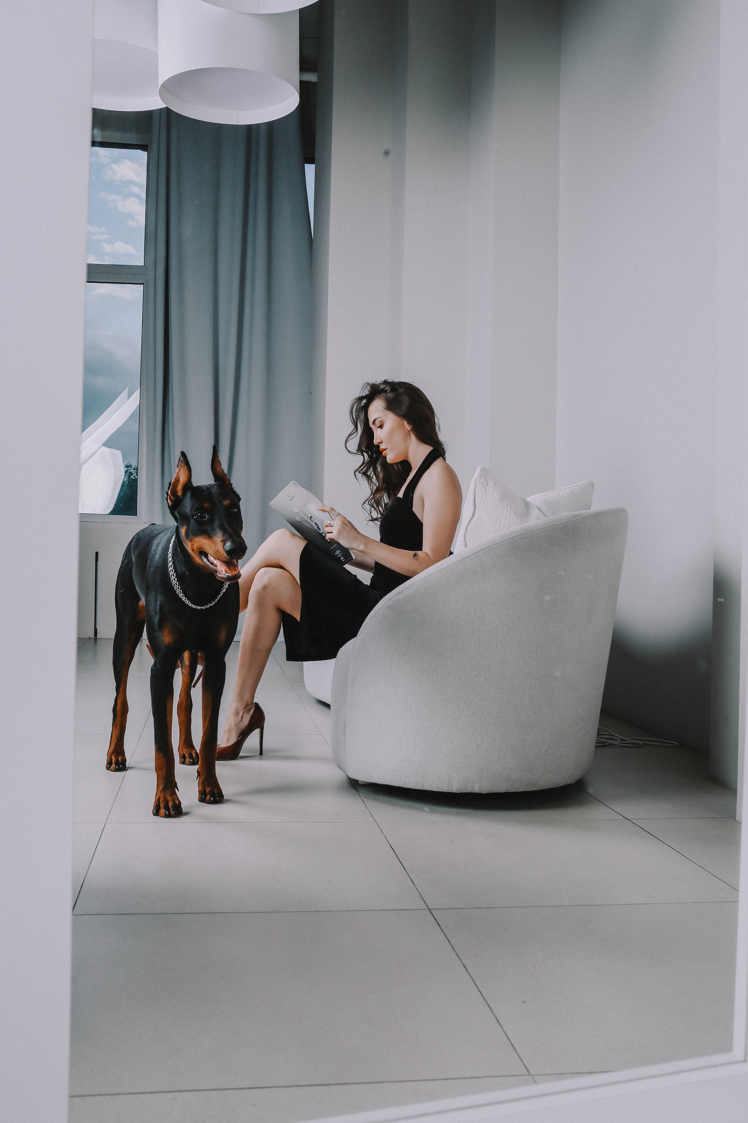 Фотосессия с доберманом Санкт-Петербург. Доберман для съемки. Собака модель. Идеи для фотосессии с животным.