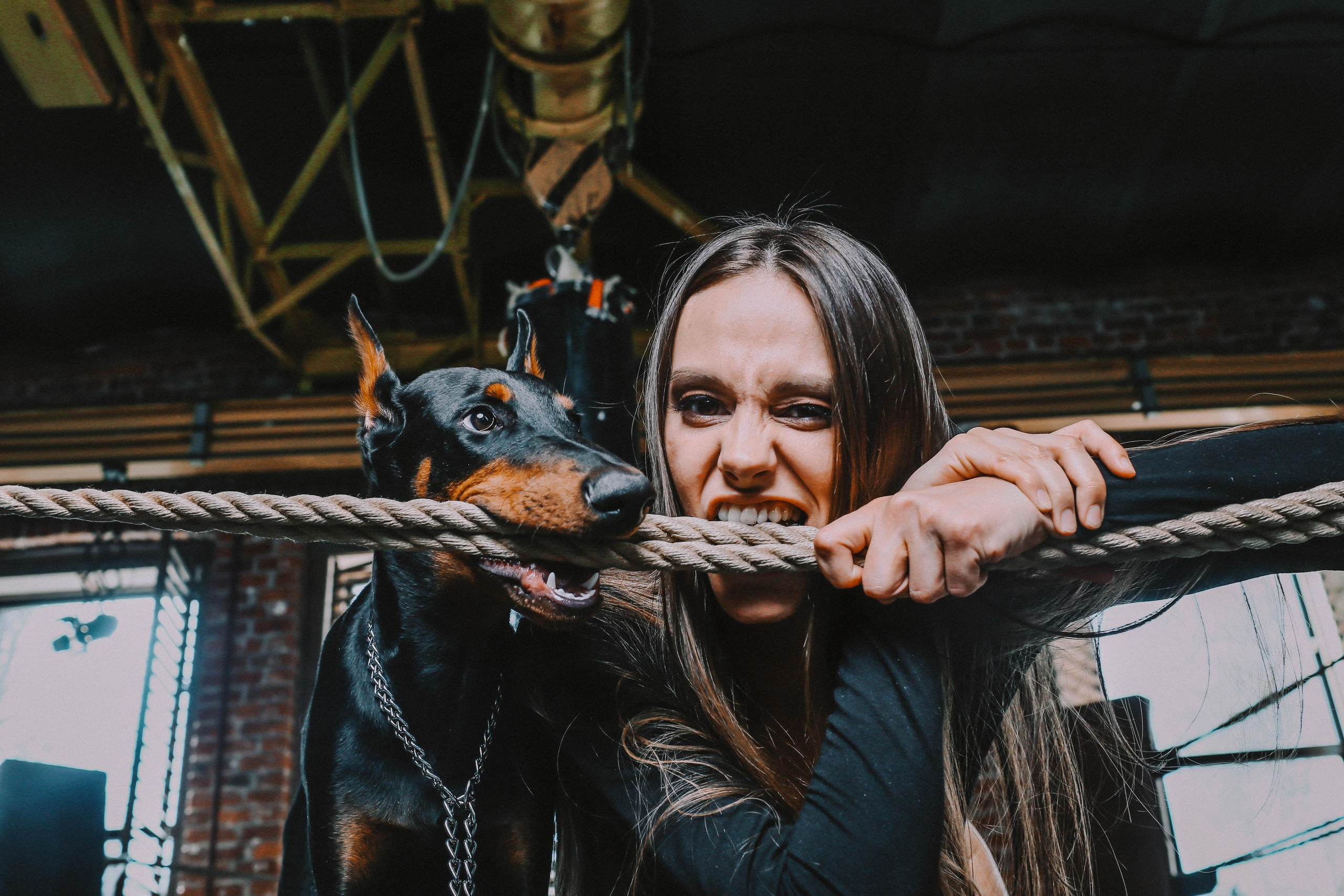 Фотосессия с доберманом Санкт-Петербург. Доберман для съемки. Собака модель. Идеи для фотосессии с животным.