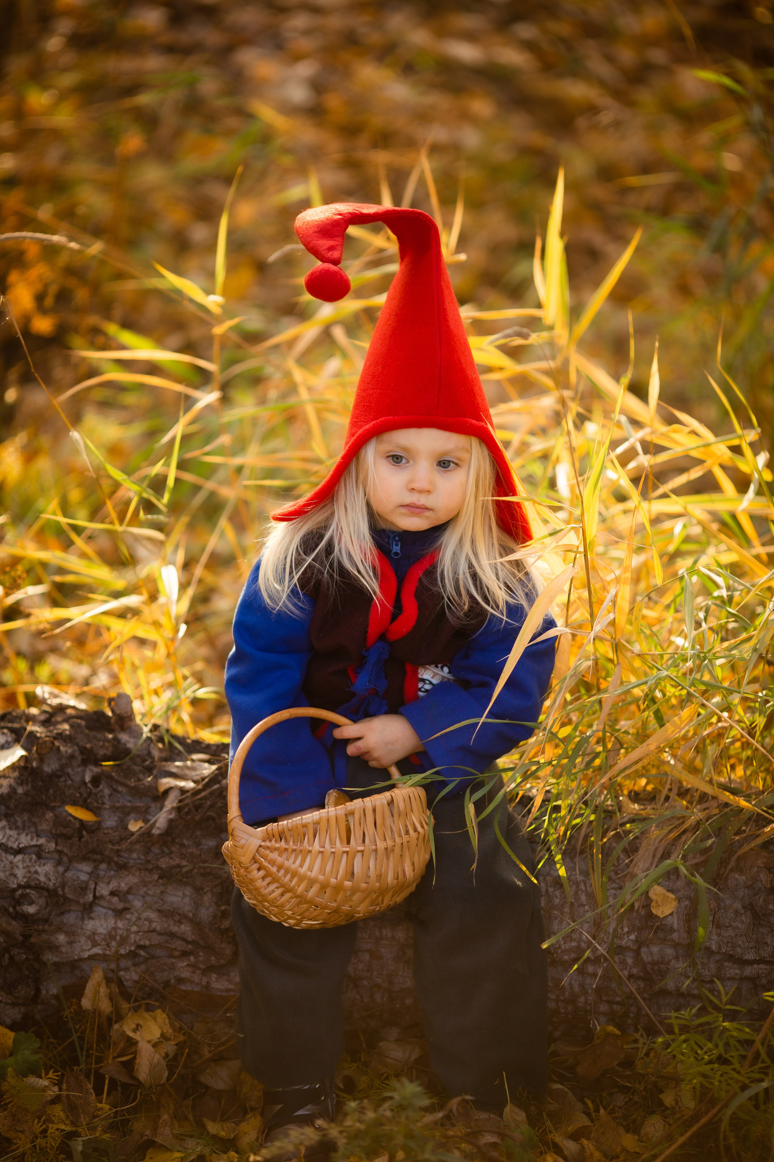 Лесные гномы