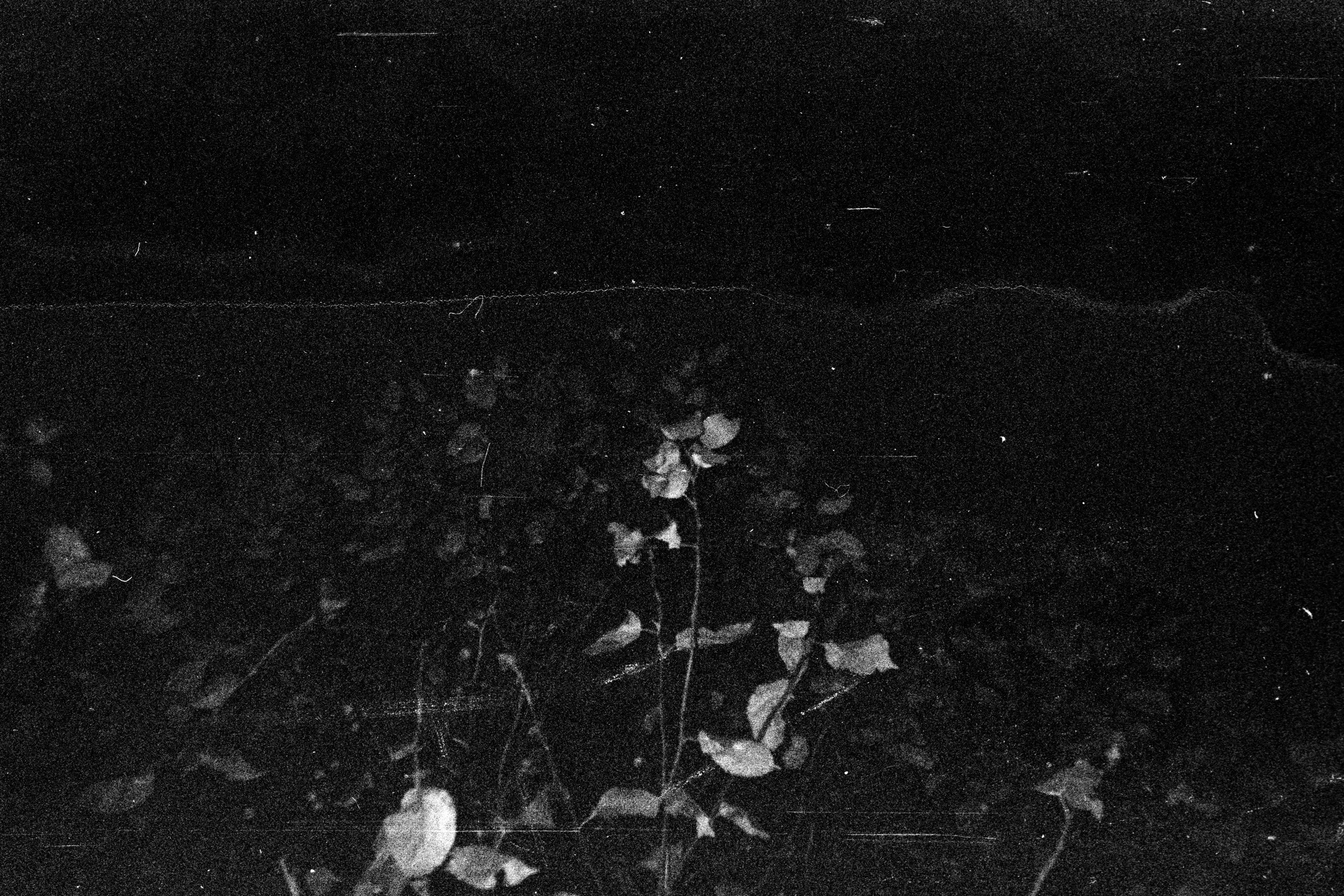 Осенние нуары. Контент-креатор Паша Норицын