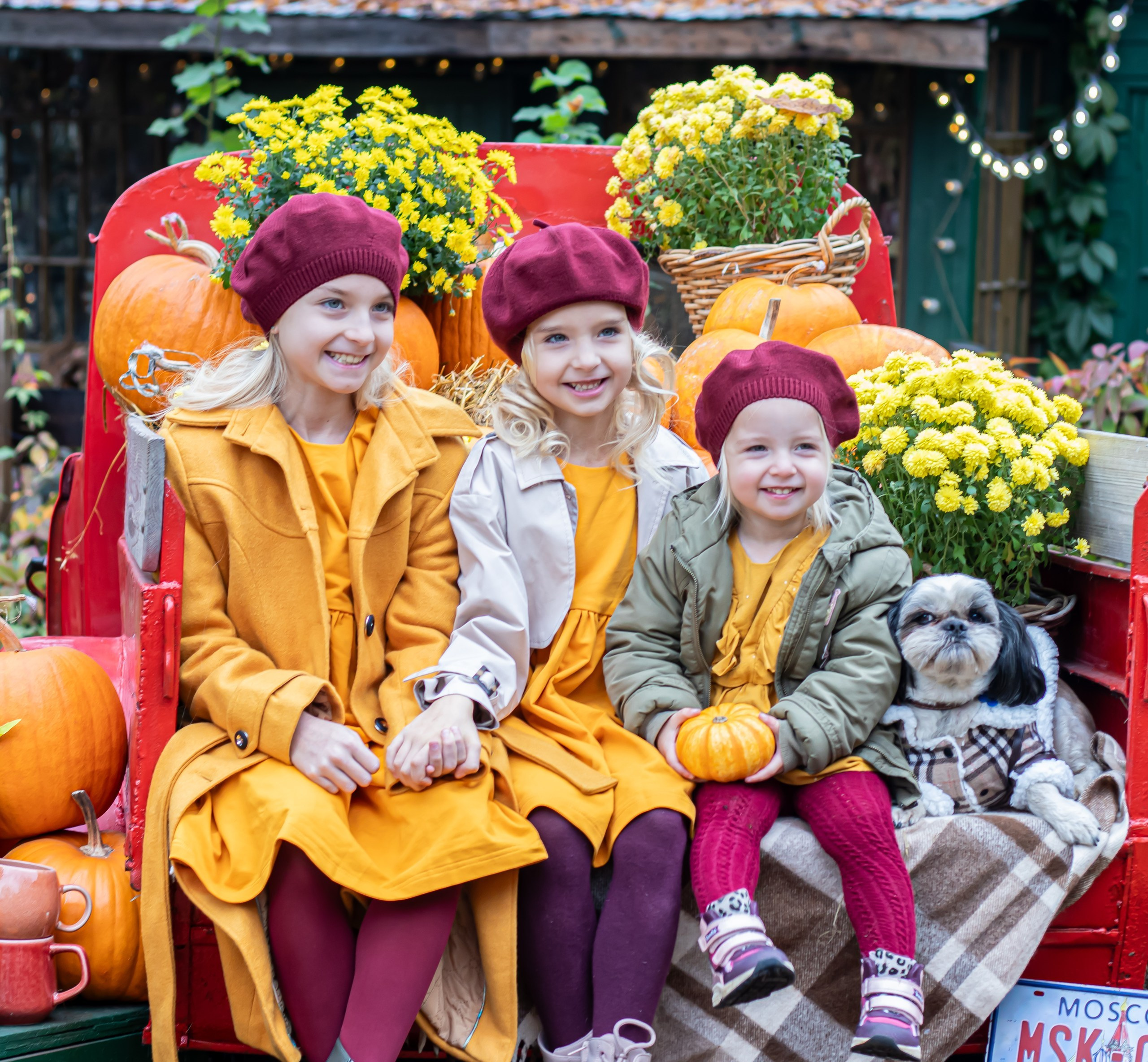 Семейная осенняя фотосессия с тремя дочерьми и собакой среди тыкв, фотограф Карасёва Елена