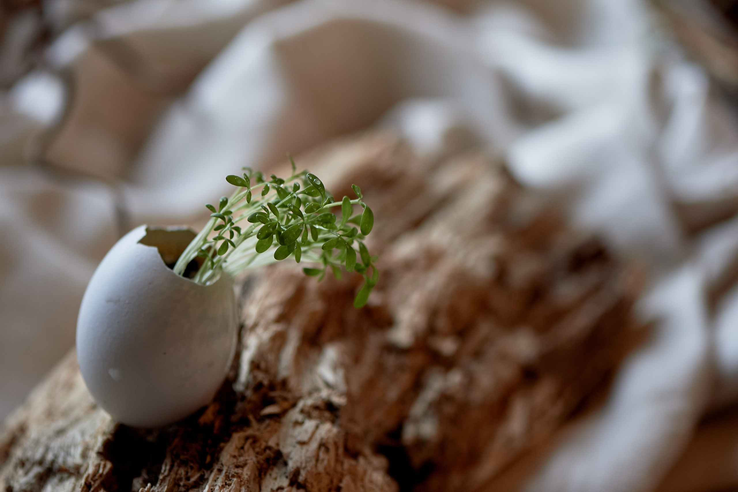 Творческая предметная фотосессия. Фотограф, психолог в Москве, Жуковском, Раменском Галина Майлер