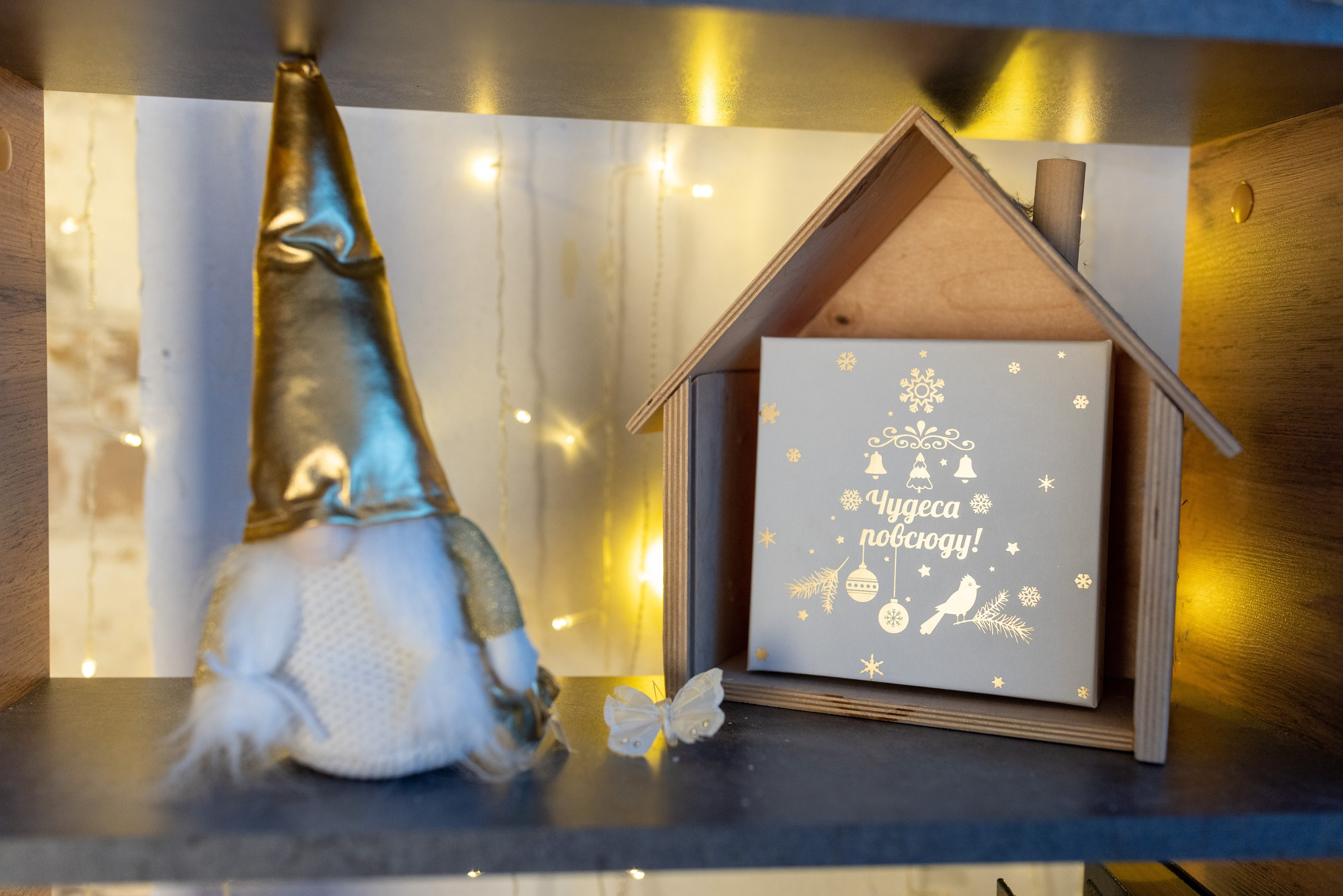 Новогодняя съемка в студии Екатерина. Фотограф — Евгений Свистков