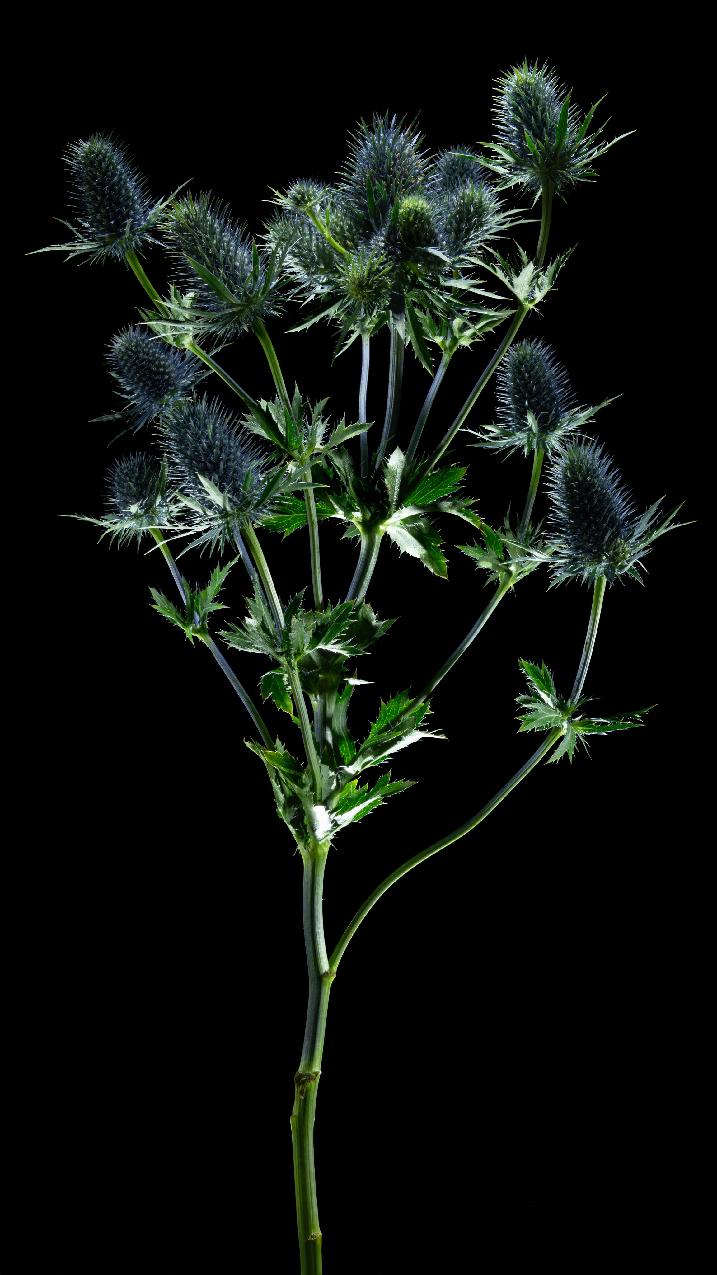 Проекты. Sakunov Photo