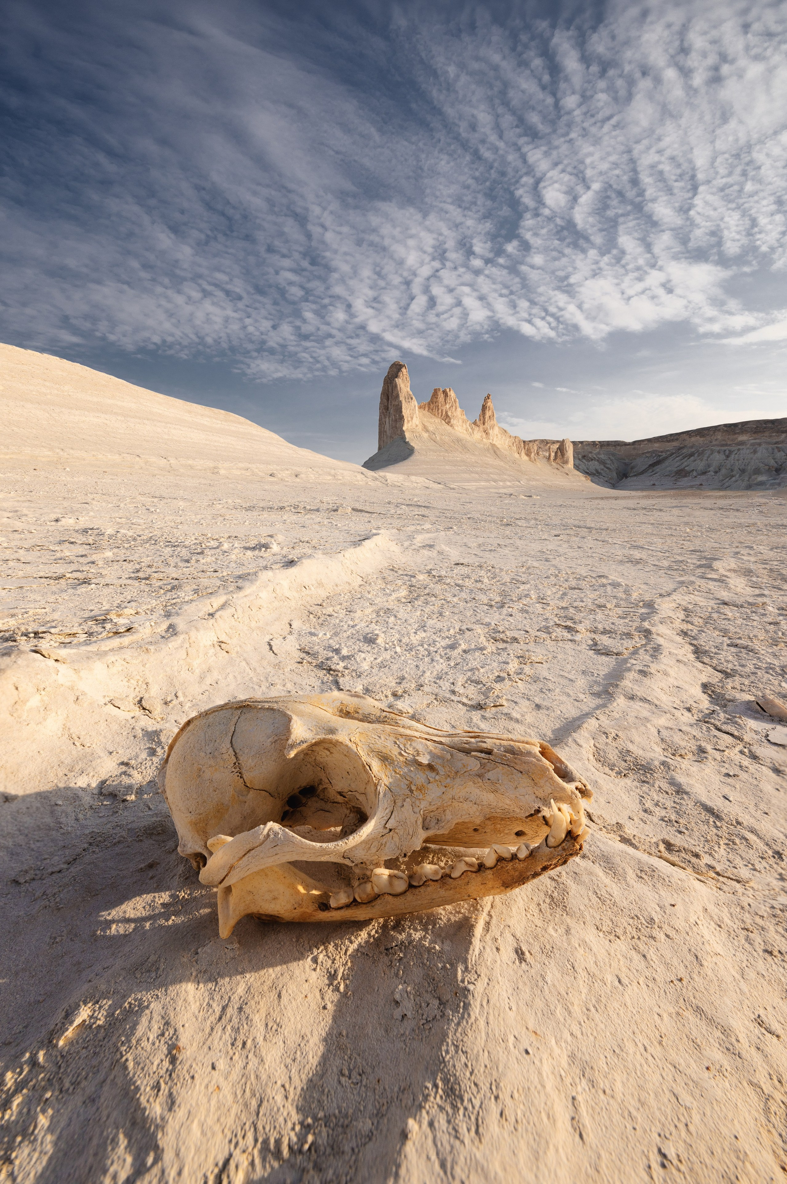 Экспедиция в Мангистау. Казахстан (28.03 — 11.04.25). Фотограф Константин Шамин