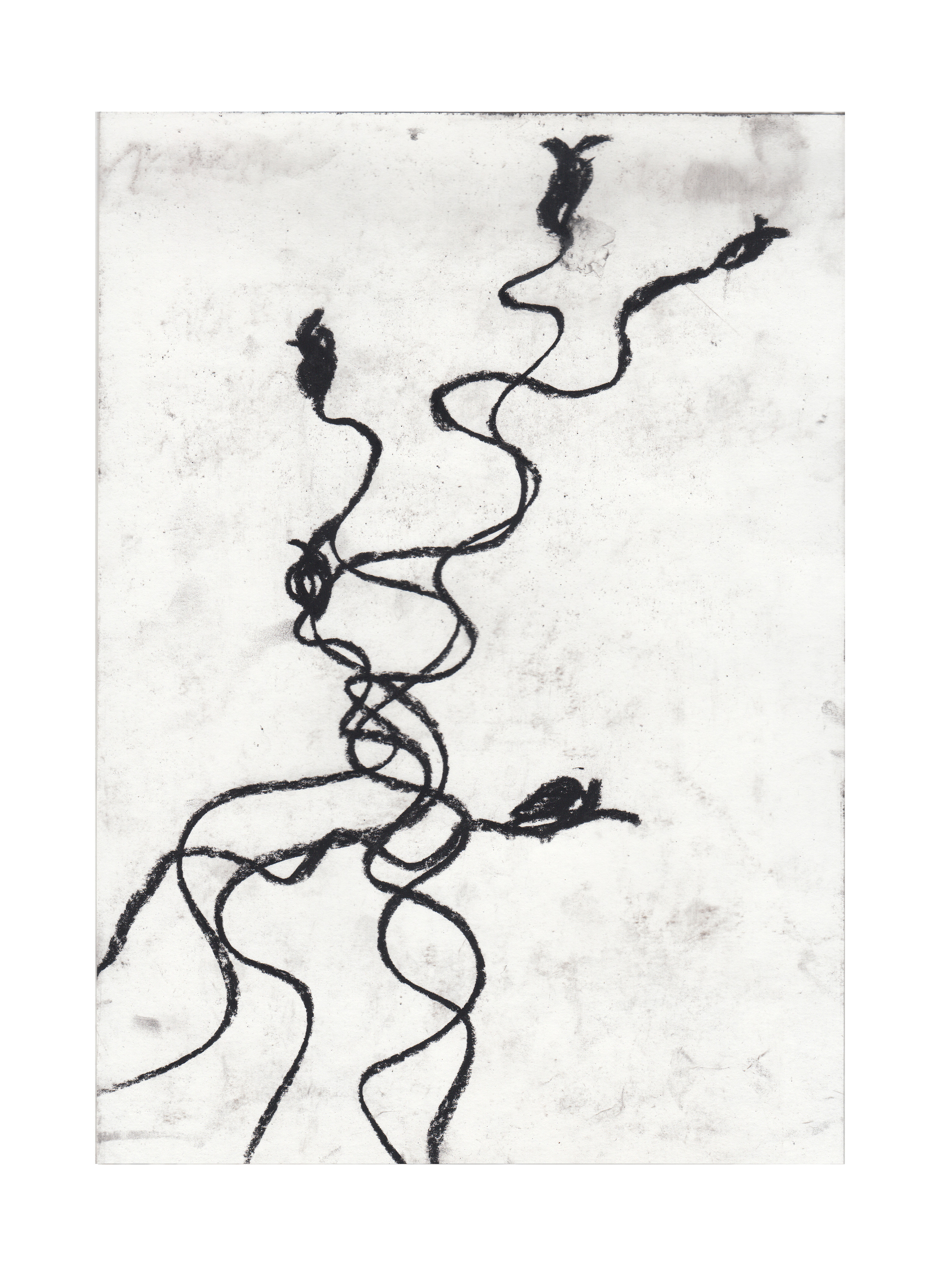 ๑ Привет, тебя нет. Дарья Пянзина | междисциплинарная художница