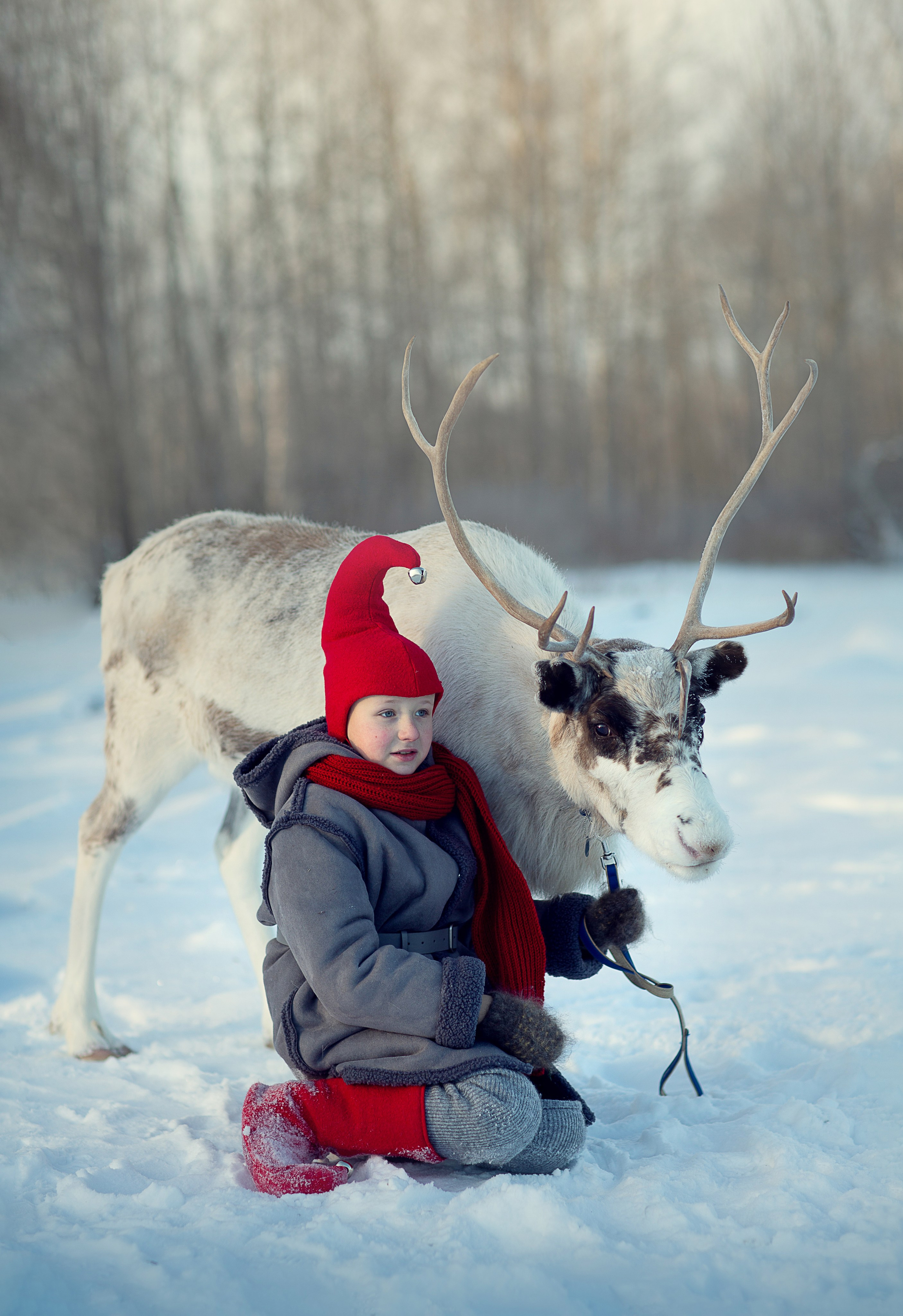 Новогодняя фотосессия с оленями. Фотограф в Рыбинске Мария Балакина
