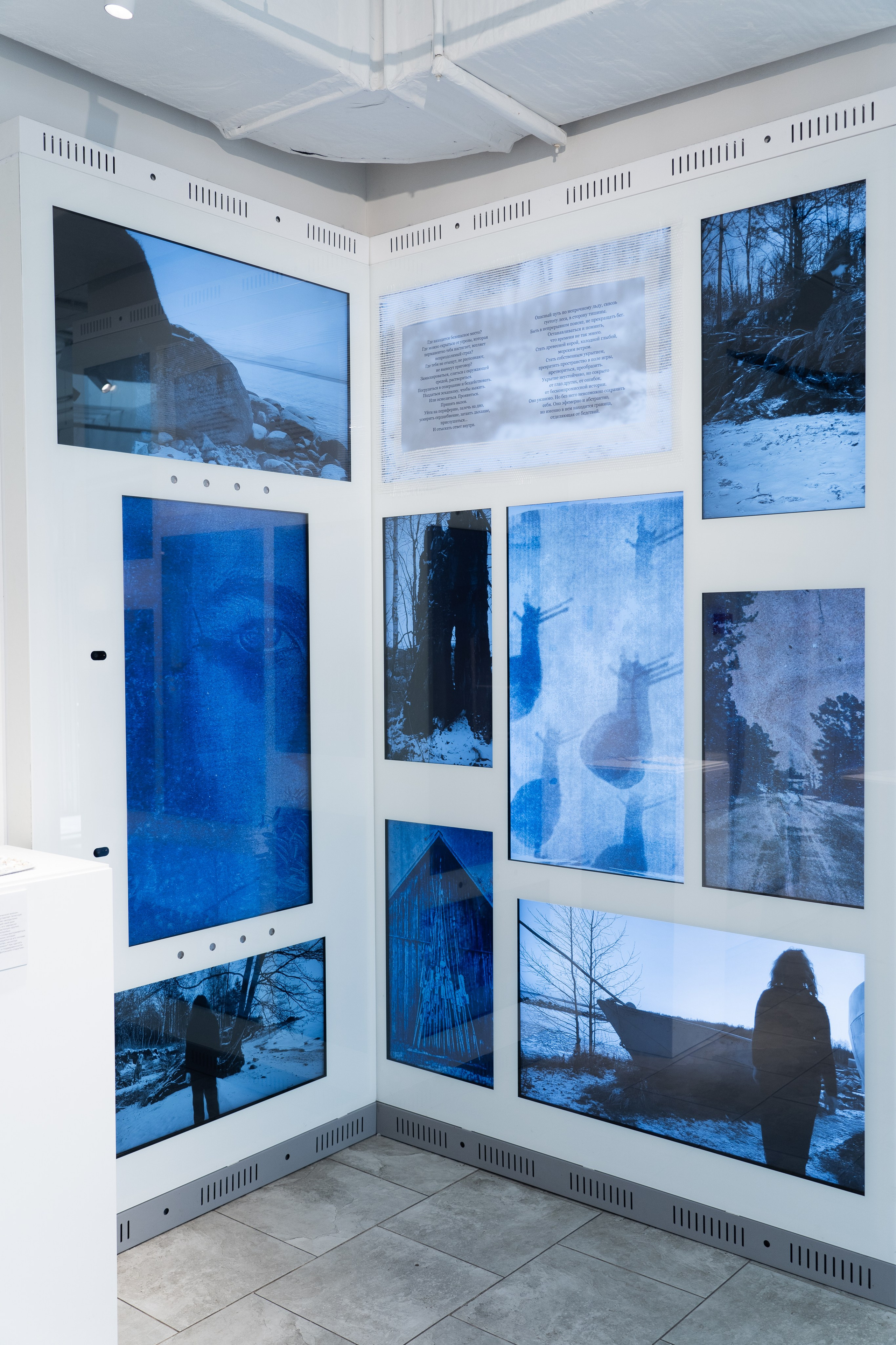 Укрытие. Катрин Эдельвак