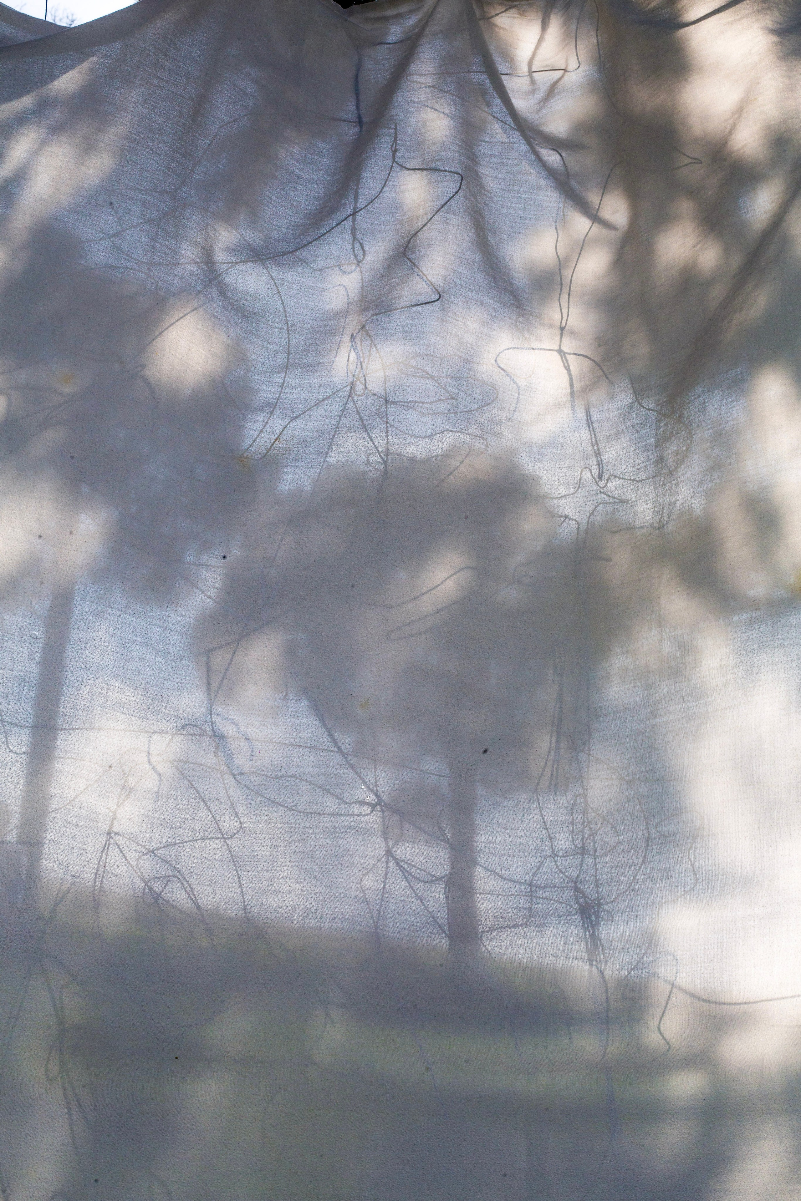 The exhibition under trees. KST