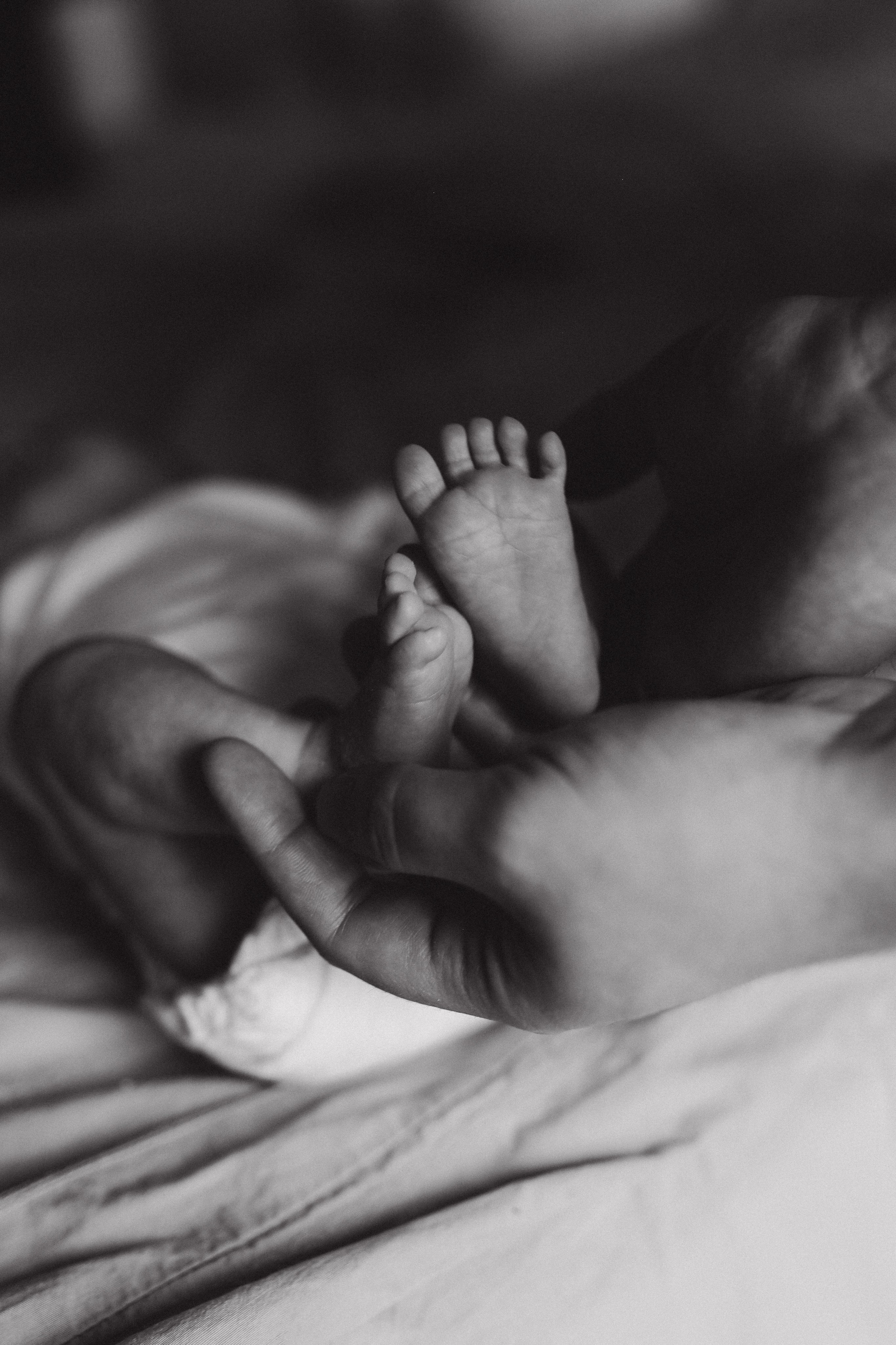 Виды фотосессий. Семейная, свадебная, таинство. Семейный и свадебный фотограф Москва Коломна Рязань Санкт-Петербург