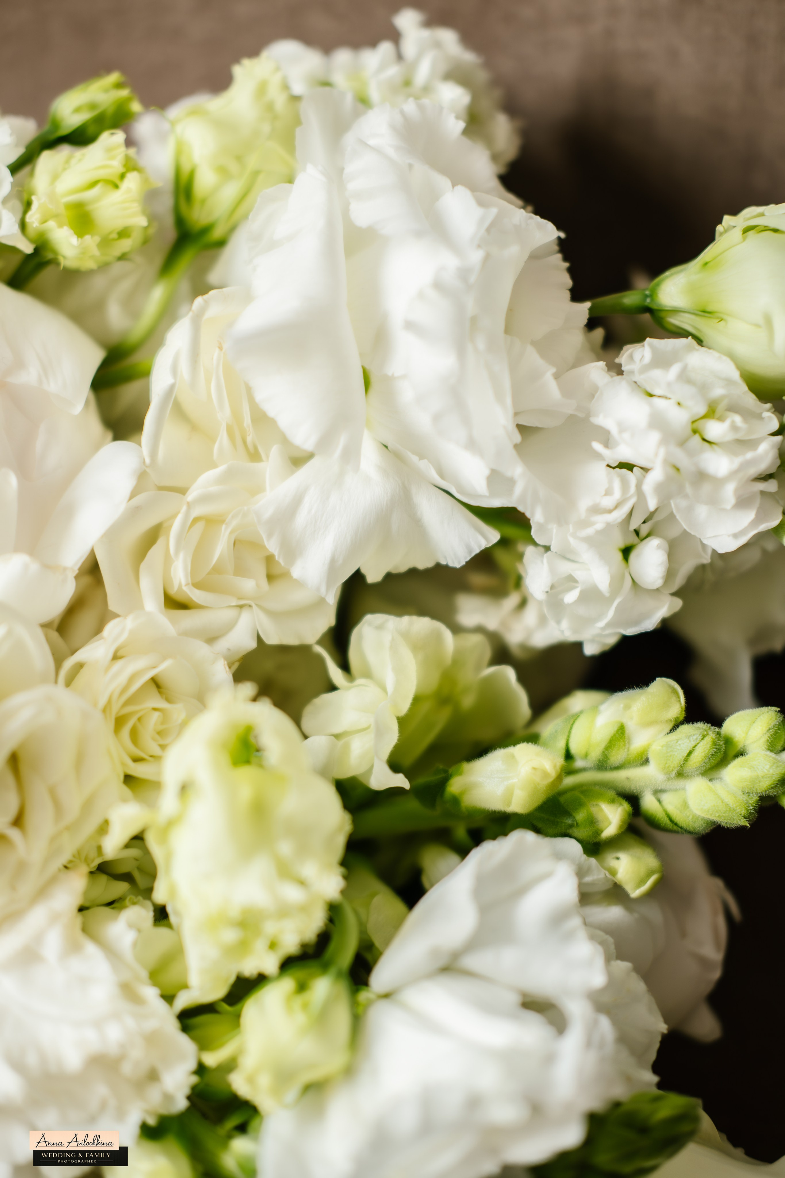 Свадебные съёмки. Семейный и свадебный фотограф в Москве и Домодедово Анна Авилочкина