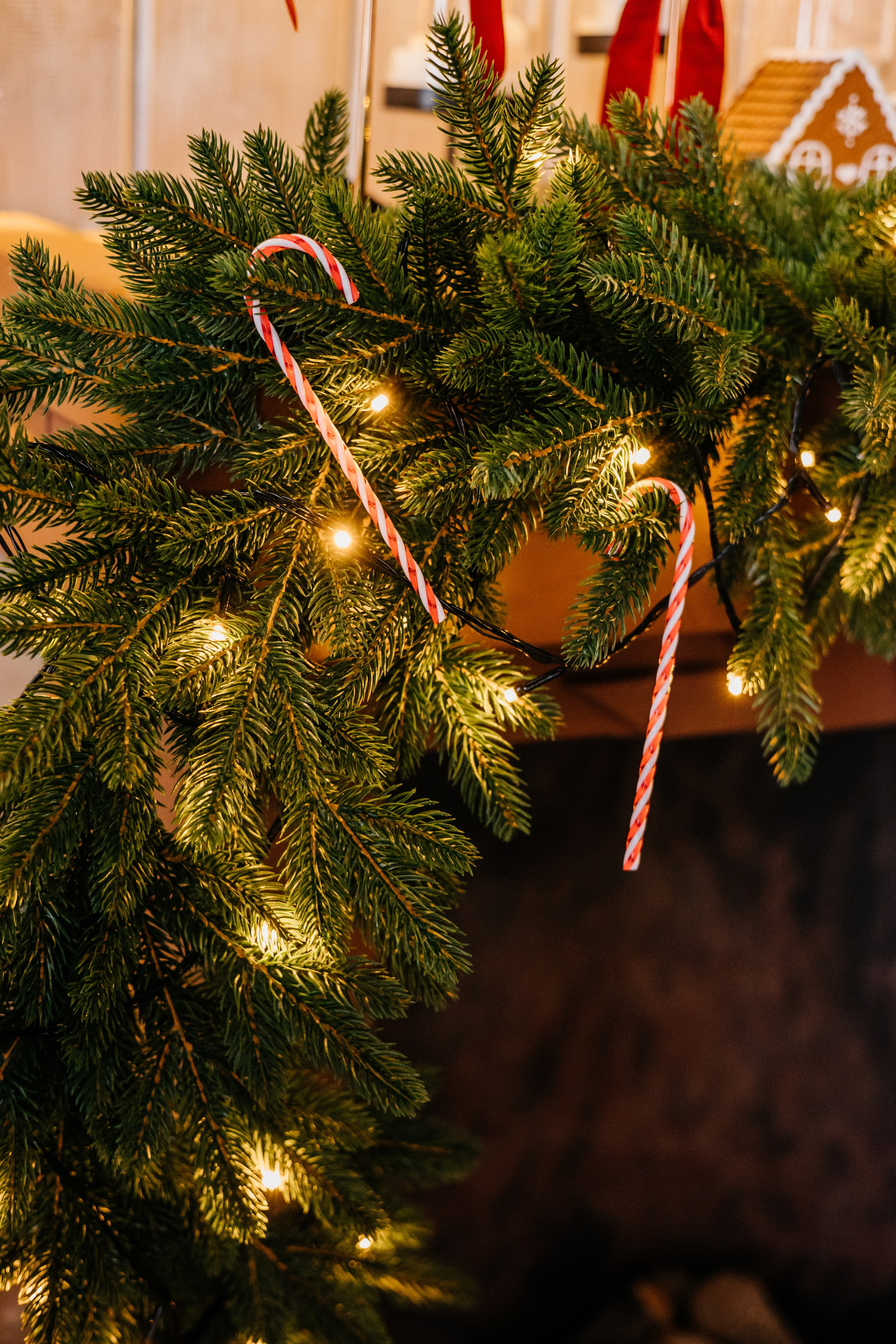 ETO Studio — фотостудия в Минске. Понравилась студия? Напишите — организую съёмку именно здесь. Фотограф в Минске Людмила Дутко