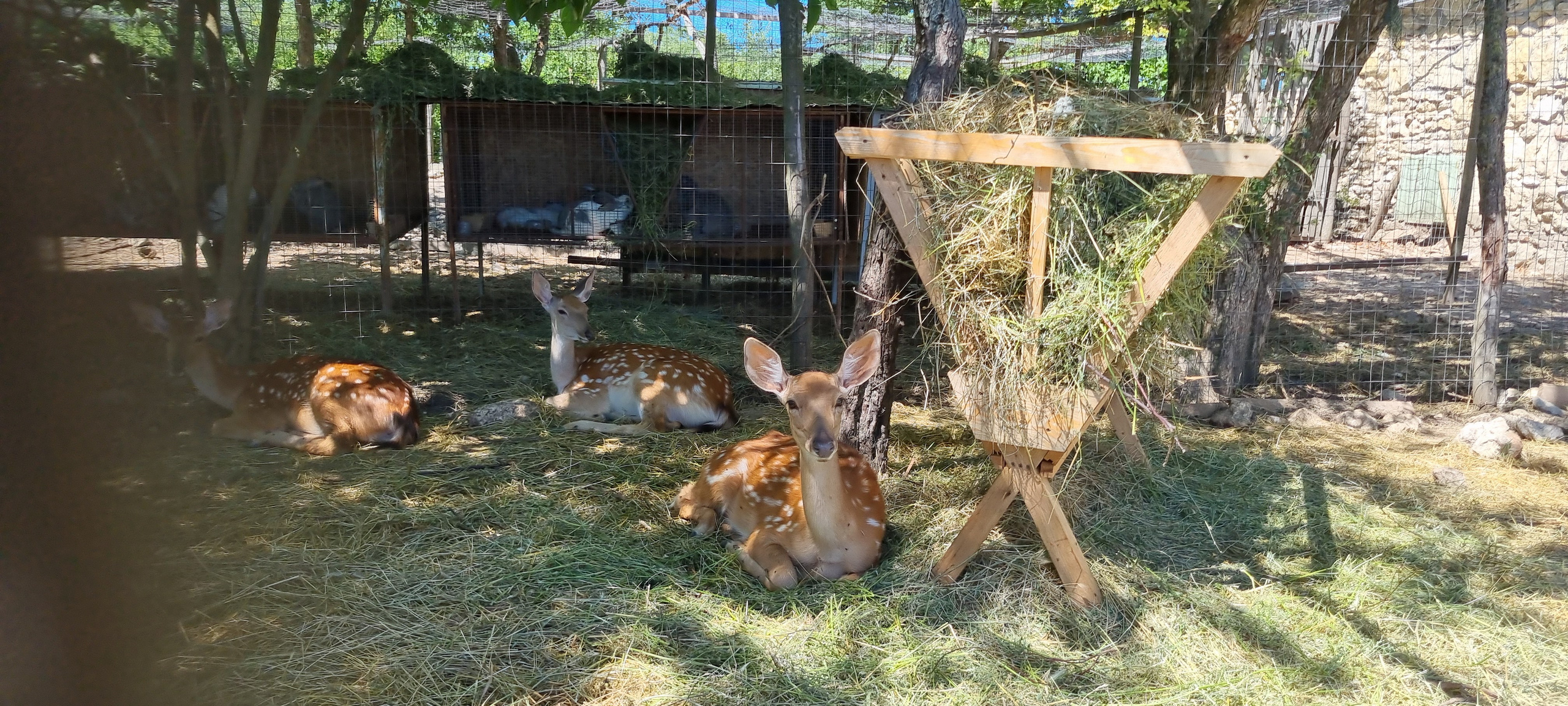МЕСТА ДЛЯ ФОТОСЕССИИ В АНАПЕ. Свадебный и семейный фотограф/видеограф в Краснодаре Наталья Осинская
