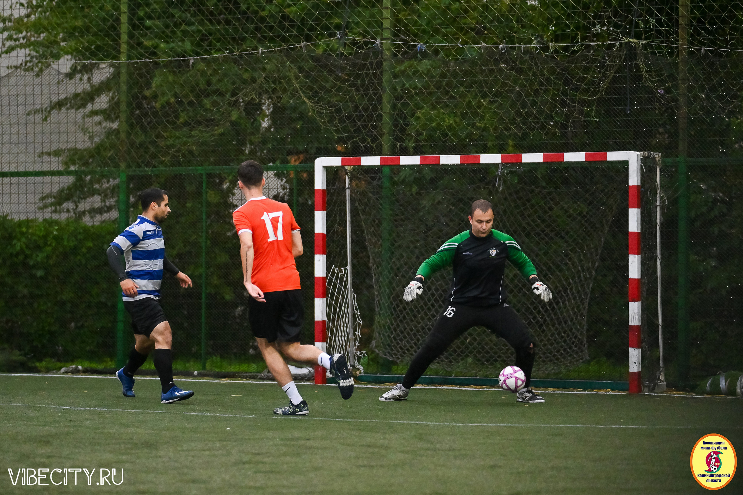 ИГРЫ МИНИ-ФУТБОЛЬНОЙ И КОРПОРАТИВНОЙ ЛИГИ. VIBECITY.RU Вайб Сити Ру Фоторепортажи Фотоотчеты Калининград