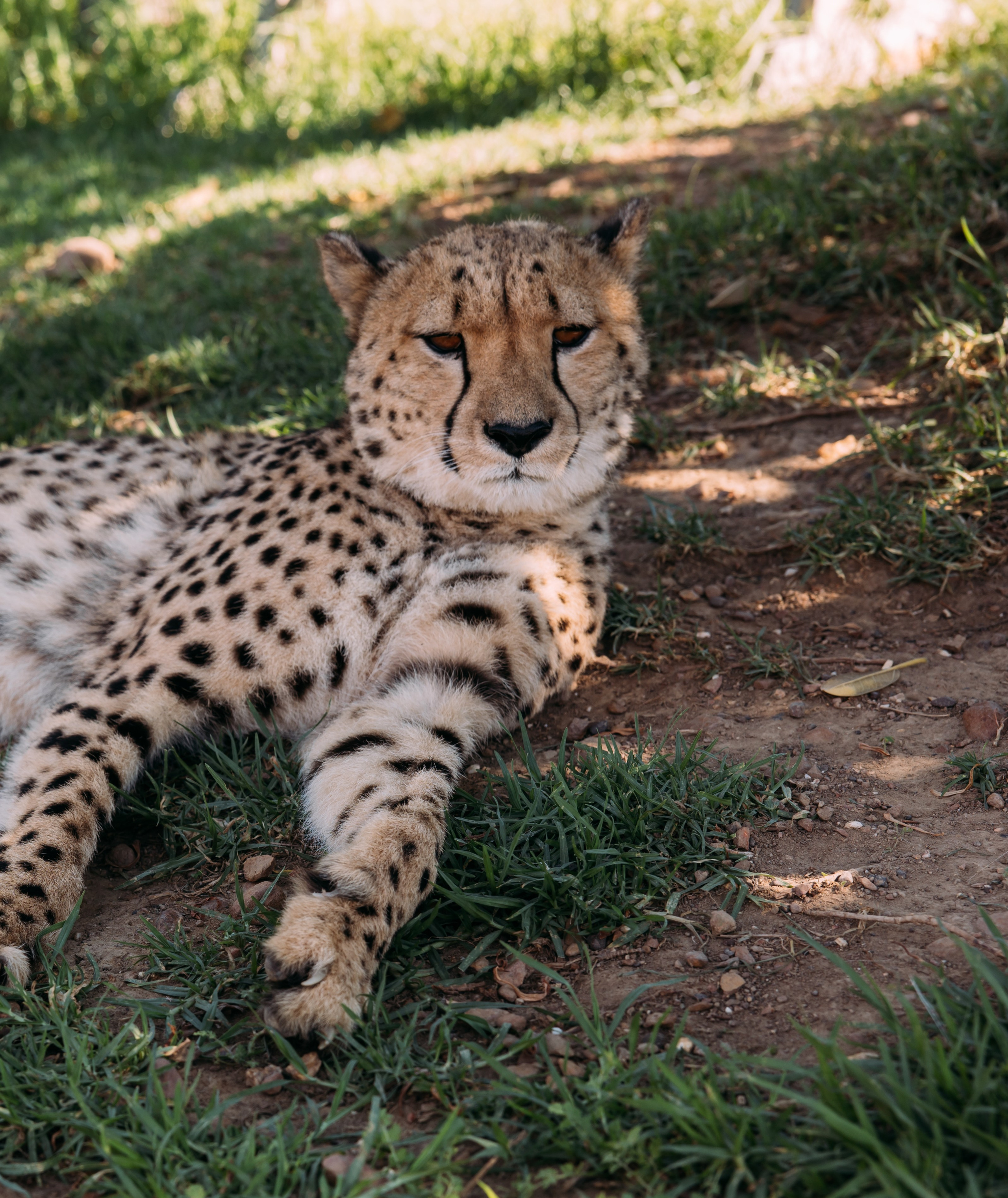Фотограф Марина Аблаева-Кожедуб