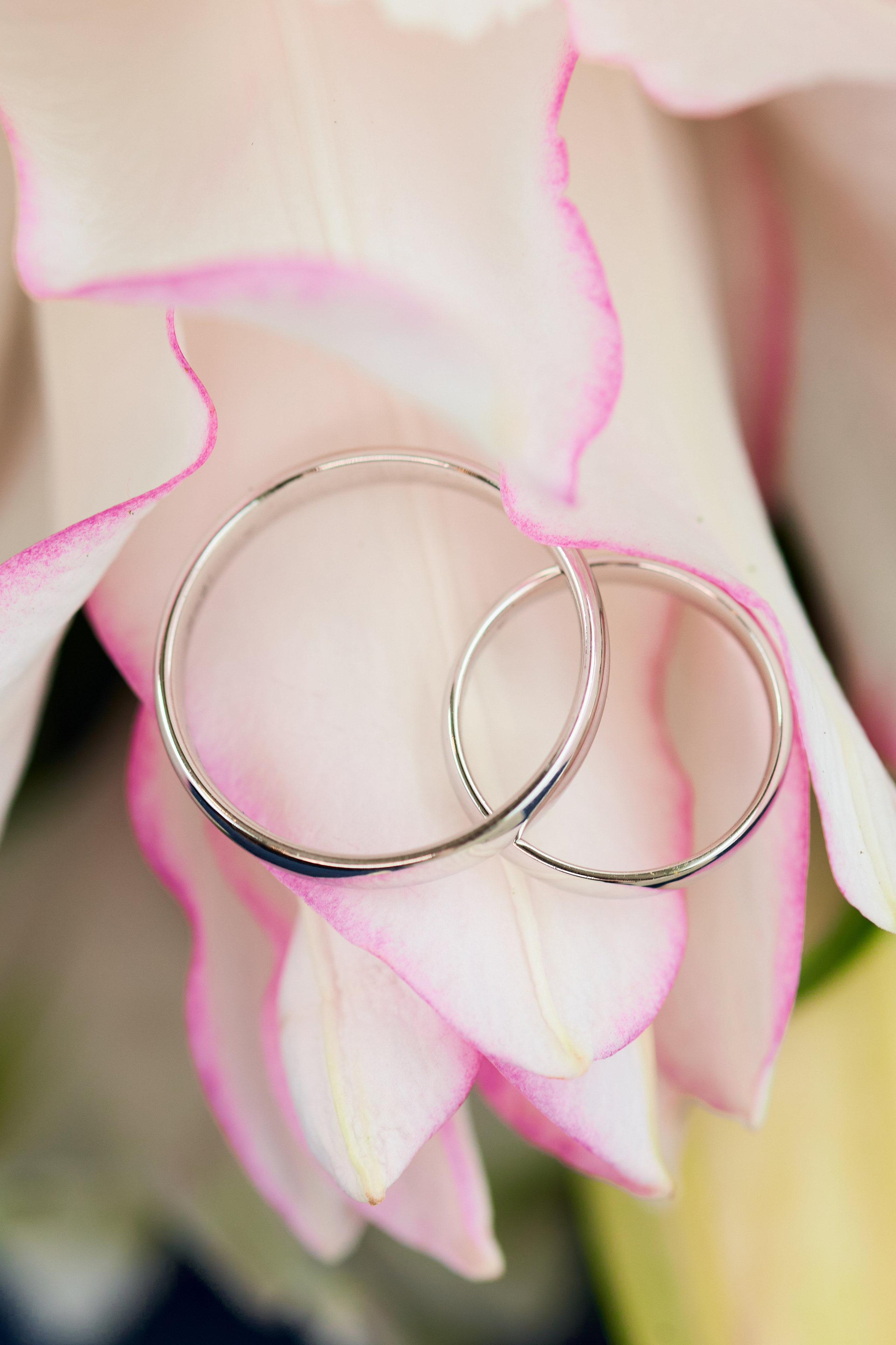 Классические сборы в отеле. Роспись в 4 ЗАГСе и съемка в оранжерее Цицина РАН. Любовь Юсупова. Фотограф