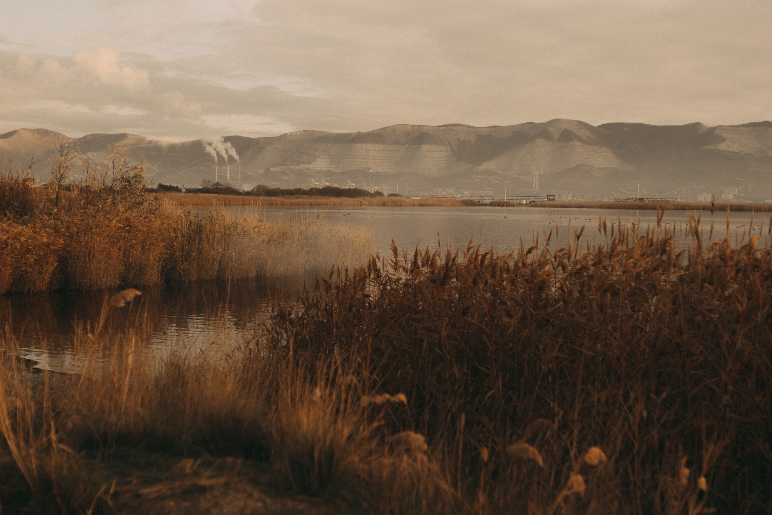 Твой рассвет. Фотограф Дарья Филатова