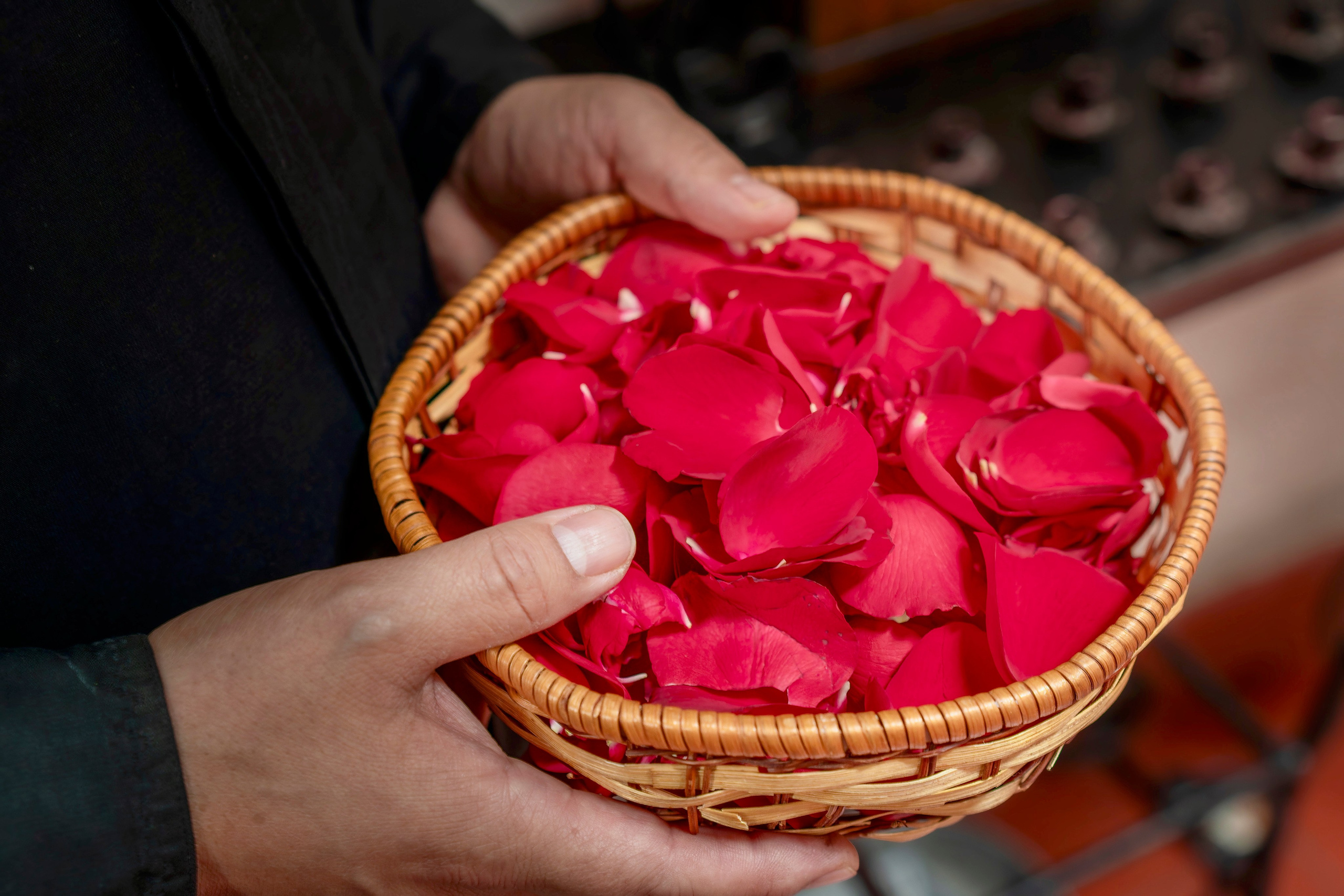Dasha & Roman. CDMX Photography | Alex Klenin| Portrait & Event Photographer