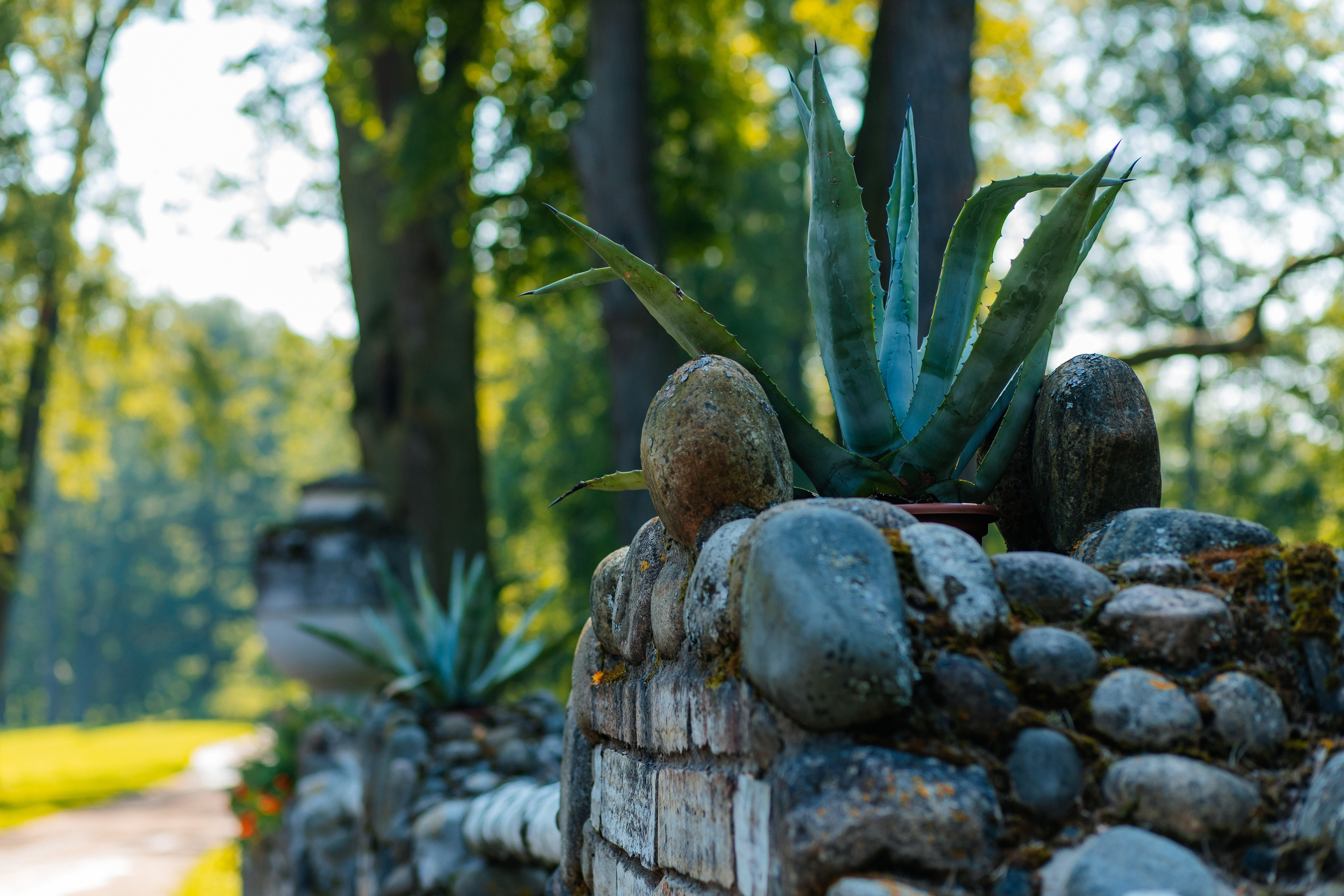 ФОТОСЕССИЯ В ПЕТЕРГОФЕ. ГДЕ СНИМАТЬ В ПЕТЕРГОФЕ