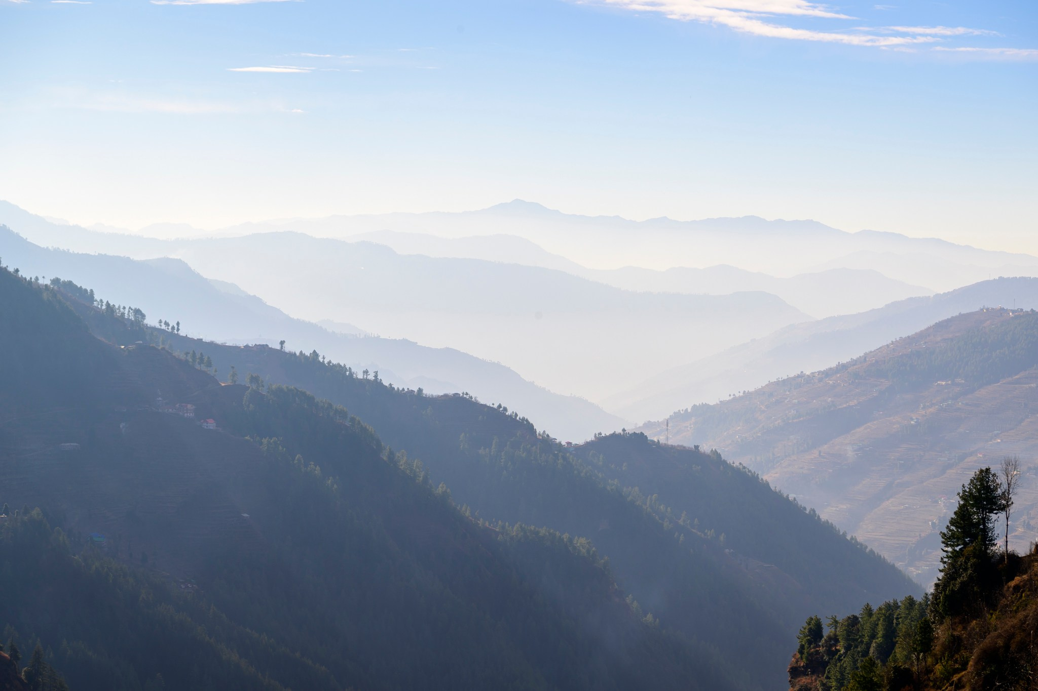 Путешествие в долину Спити: снежные барсы и духовное наследие Гималаев. Wildlife photography by Sergey Puponin