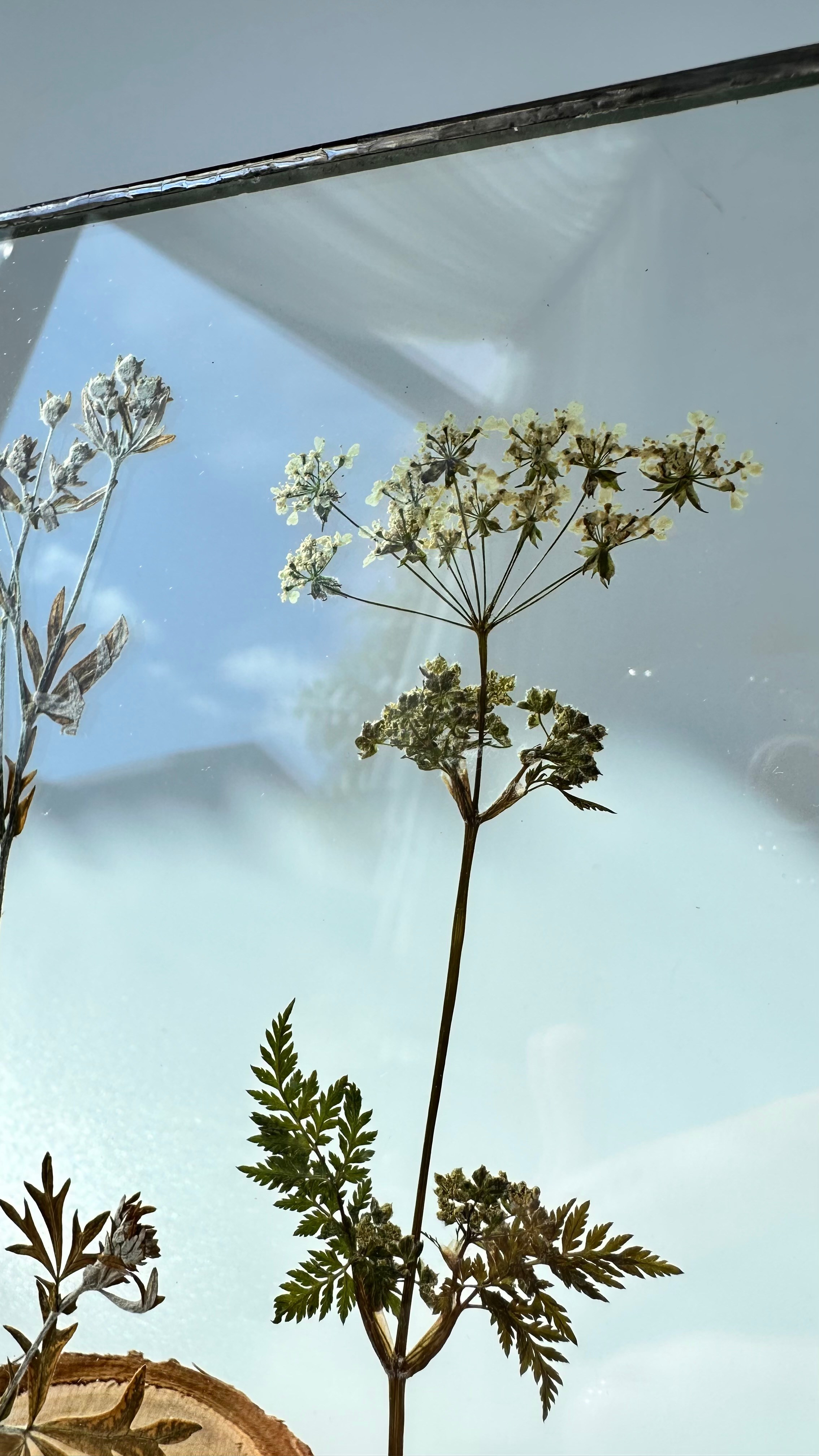 Селигер Квадрат 20 см. Оформляю пространства. Витражи с сухоцветами в технике Тиффани